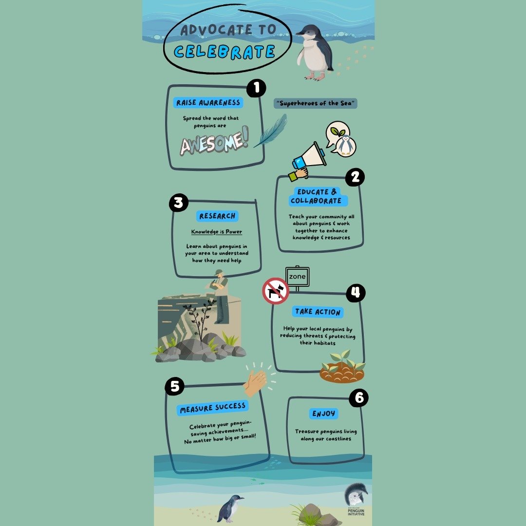 Although we like to celebrate penguins everyday &quot;World Penguin Day&quot; was last week (April 25th) &amp; the best possible way to celebrate them is to advocate on their behalf so we can continue to have them grace our shores 🥰#advocatetocelebr