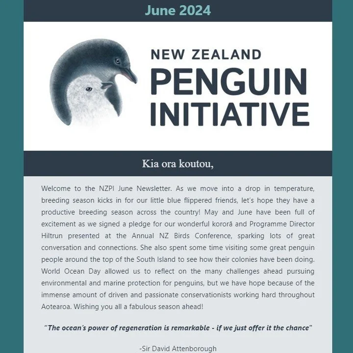 Our June Newsletter is out featuring the latest updates from the NZPI team! Check out our Science &amp; Advocacy page on our website to view this edition and find previous newsletters🐧🥰https://www.nzpi.nz/science-advocacy