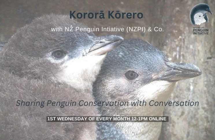 Our online monthly catch up is coming up on Wednesday 12-1pm Email: admin@nzpi.nz if you want to join in the discussion 🐧🥰