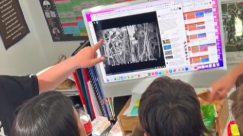 Predator Free Waihi Beach reviewing trail cam footage