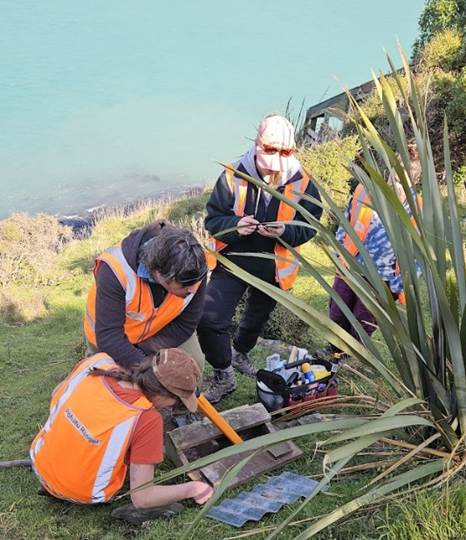 Helps Pōhatu Conservation Trust monitoring a nest box- Left to right: Kaitlin Bowe, Benoit Navarron, Georgia Gwatkin, Ali Ballard