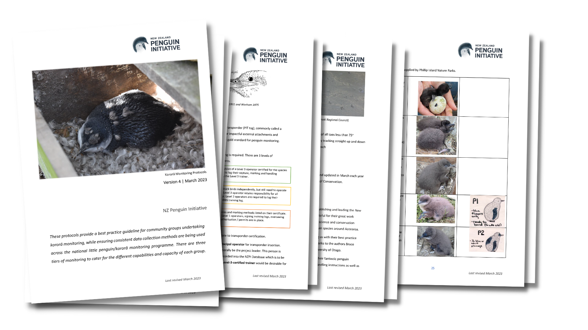 Habitat & Monitoring Resources New Zealand Penguin Initiative