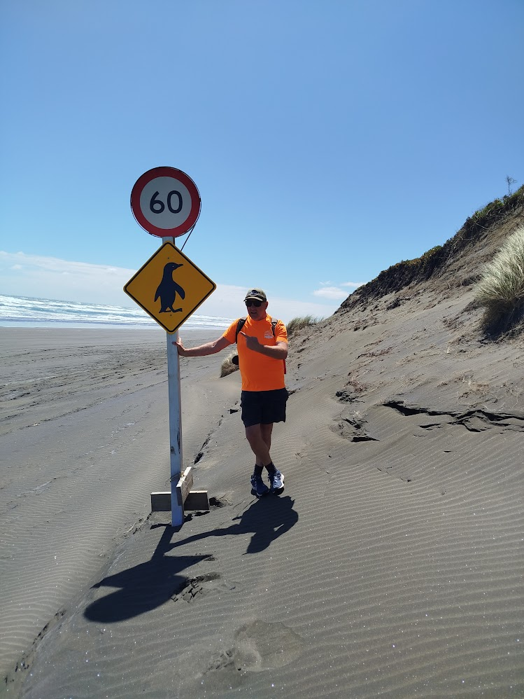 Western Bay Wildlife Trust Preschool Penguin Workshop. Image Credit: Melissa McLuskie