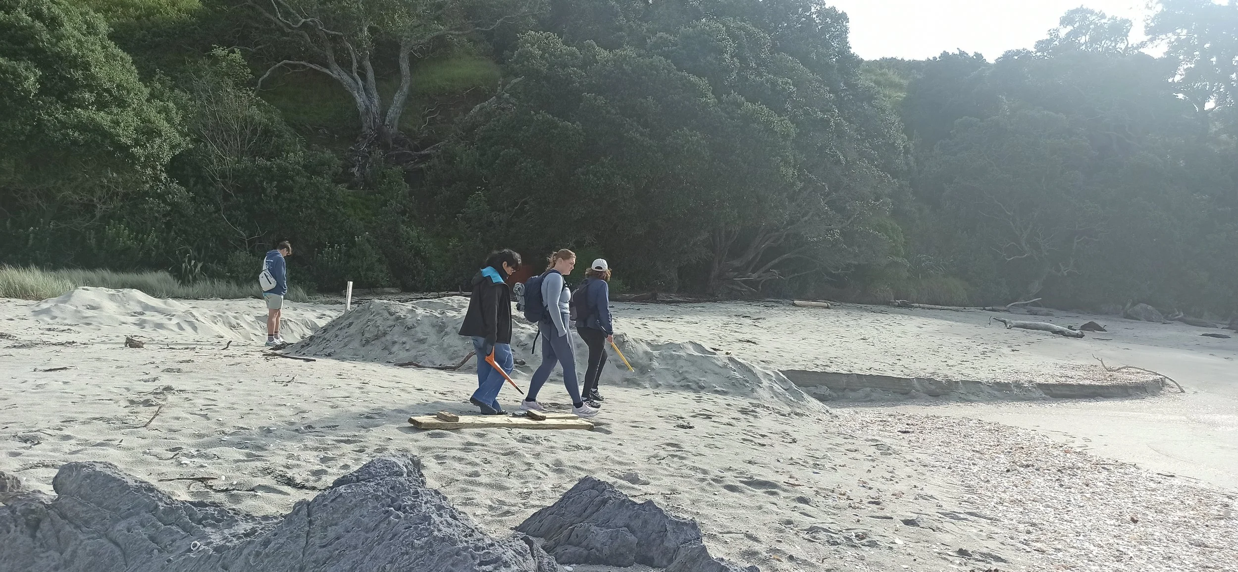Western Bay Wildlife Trust team searching the beach for footprints