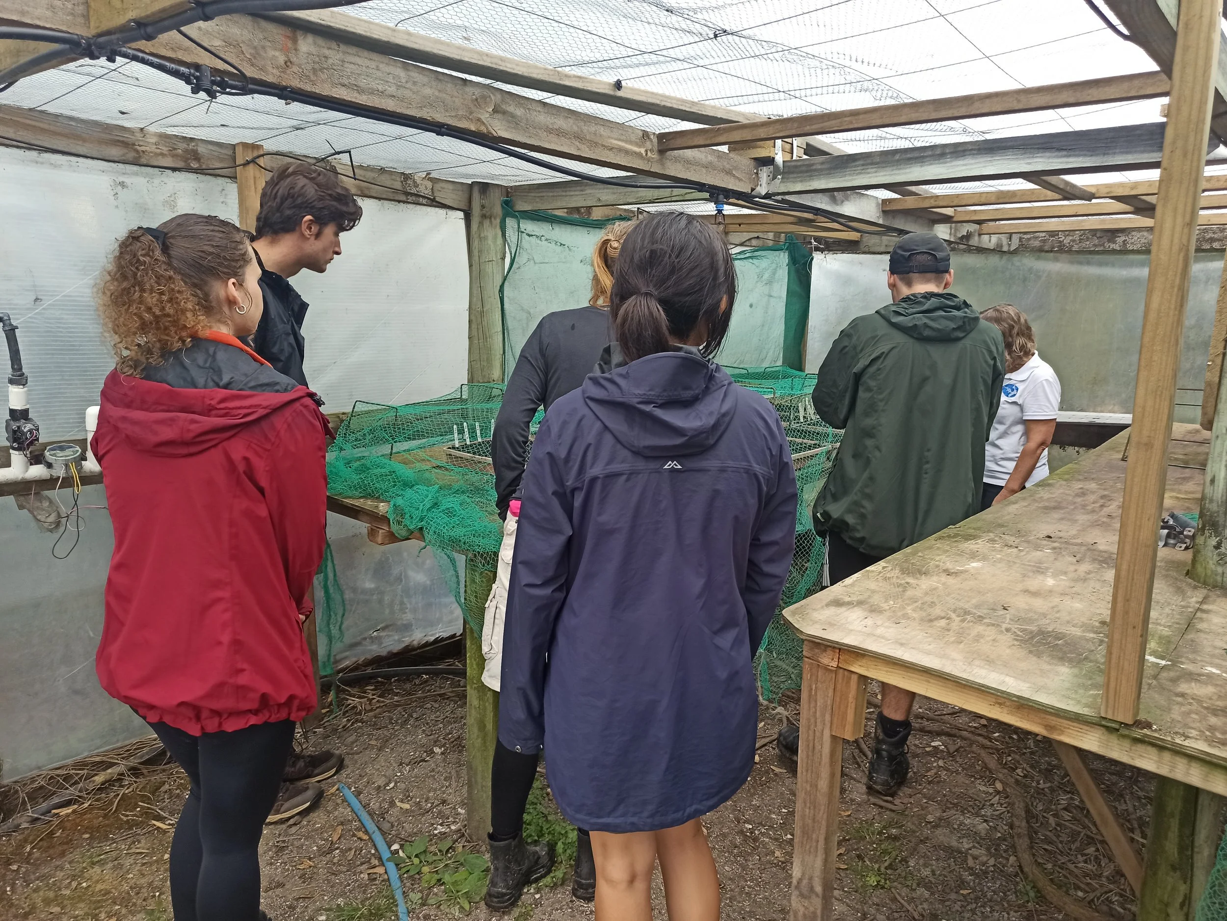 Motuihe Project Operations Manager Jill discusses rare native plants and revegetation efforts of Motuihe Island with volunteers