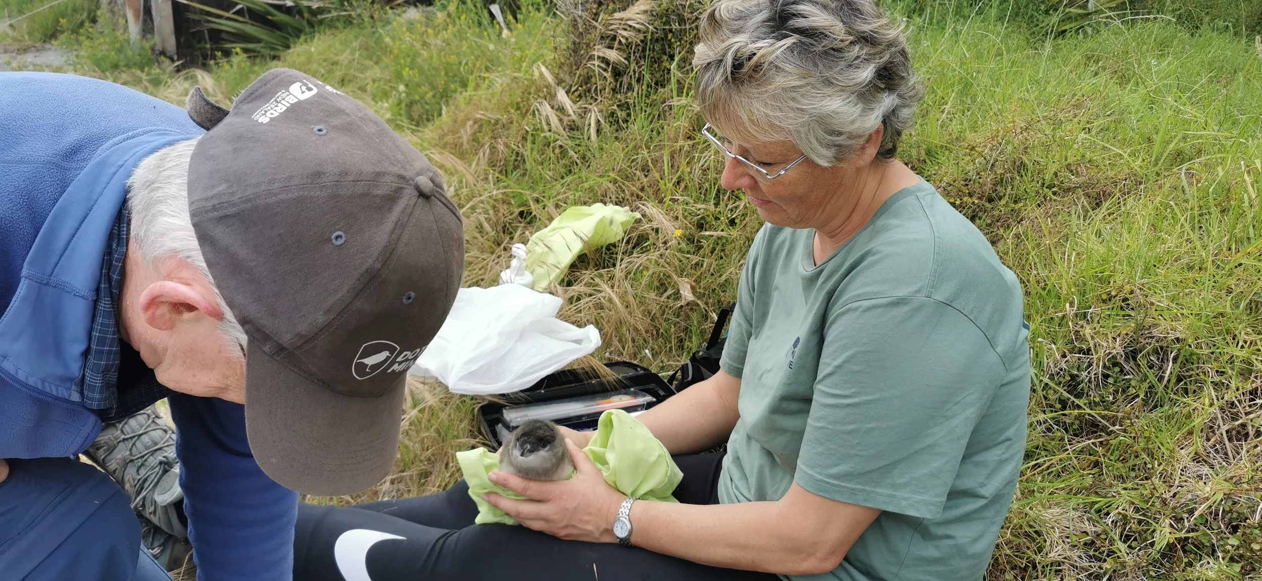 Motuora 17Nov2022-7.jpg