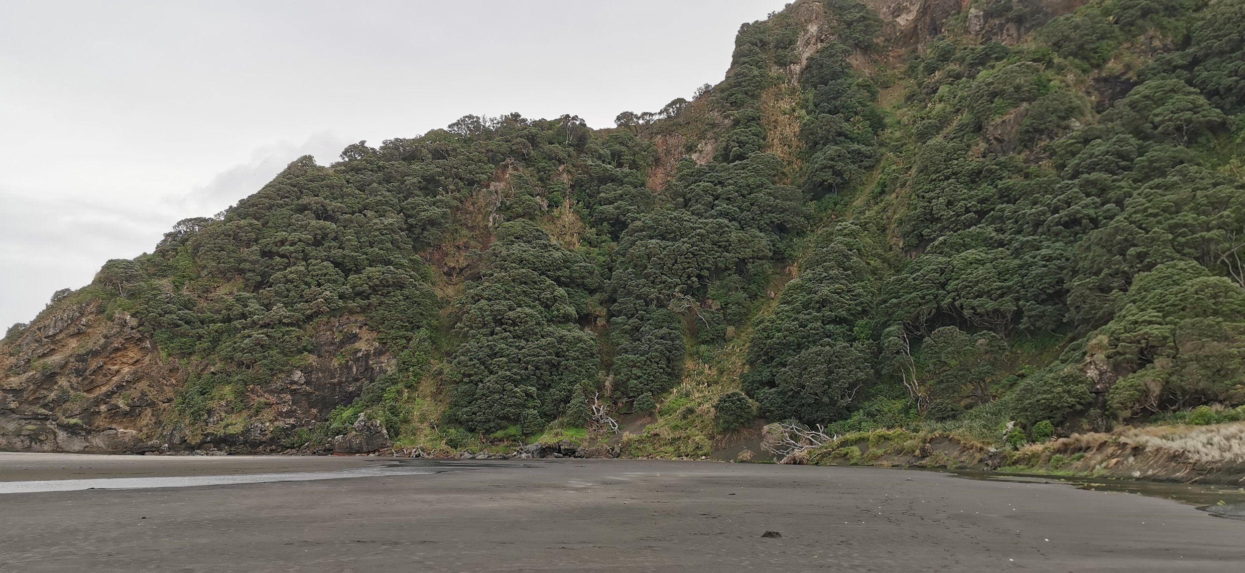 A view over Chelsea Sugar Refinery's lower dam towards Auckland Harbour Bridge and the CBD