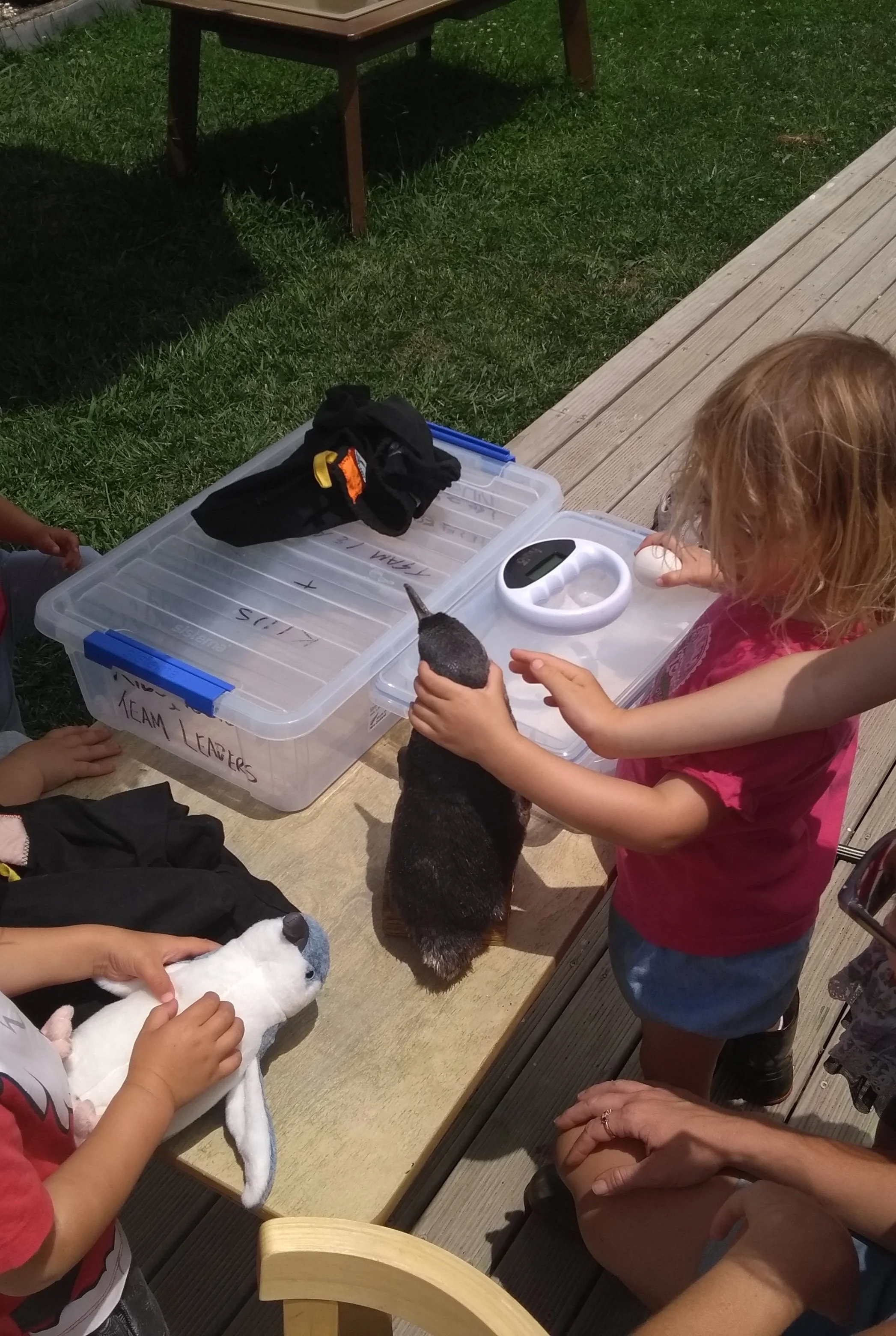 Western Bay Wildlife Trust preschool penguin workshop. Image Credit: Melissa McLuskie