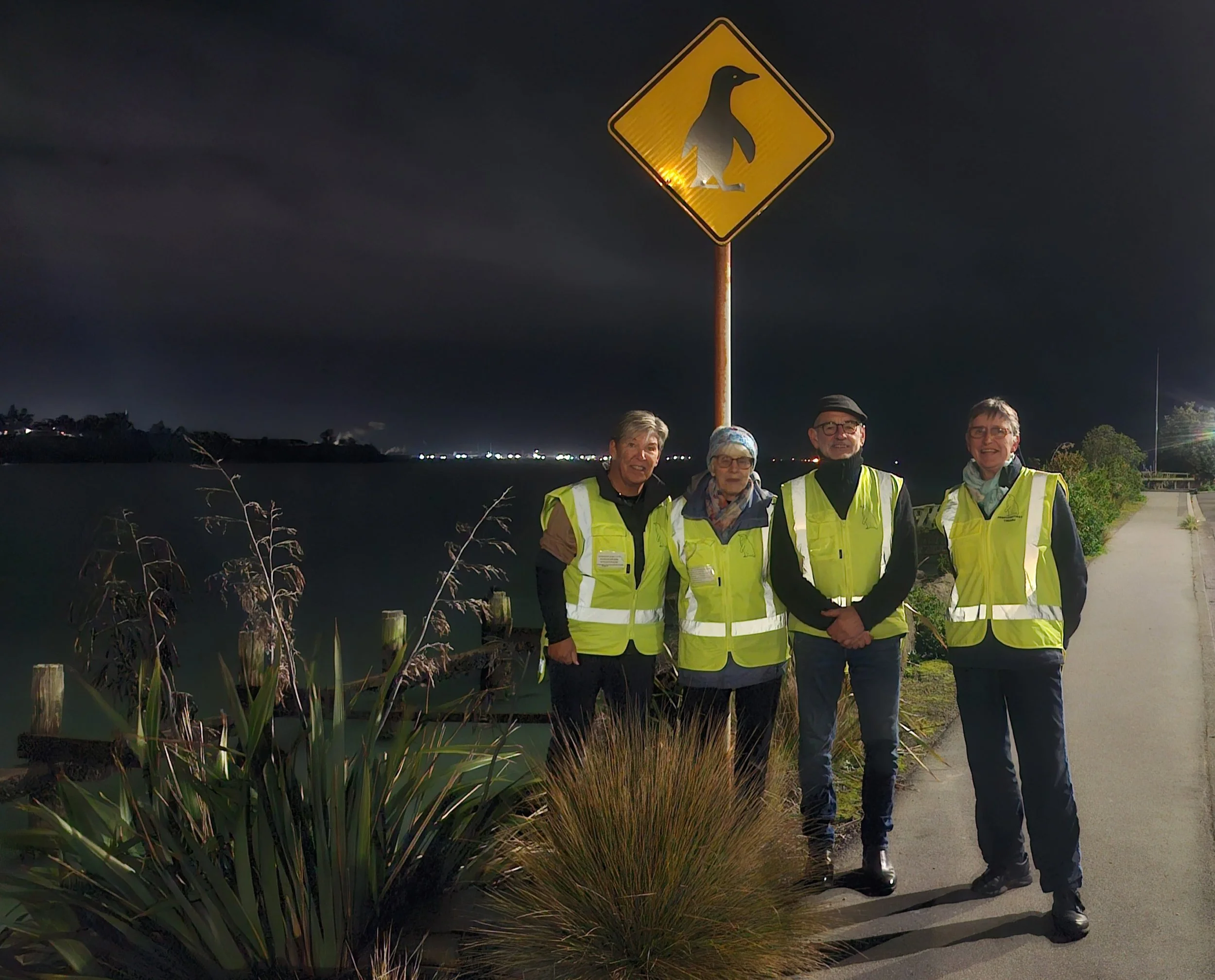 Penguins First Timaru night patrol volunteers ready to educate public and help keep penguins safe from disturbance