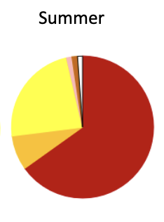 In the summer sample, Sardines (Slender and Stout sprat - red), Tarakihi and Red moki (dark yellow) and Cockbullies (Triplefins, bright yellow) were important prey. Morey eels (brown) and Bluenose warehou (dark pink) were present but not important. “