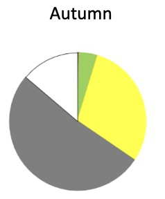 In the autumn sample, Lanternfishes (green) appeared, and so did Triplefins (yellow) (Yellowblack triplefin, Estuarine triplefin, Yellowtail triplefin) and Barracouta (grey) were the most important prey. Slender sprat (red) was recorded in very low s