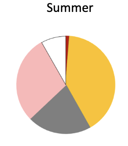 In the summer sample, Slender sprat (red) was still present, and Tarakihi (orange), Barracouta (grey), and warehous (pink) (Bluenose warehou, Blue warehou and Ruffe) were important. Triplefins (yellow) were also present but not important. The “other”
