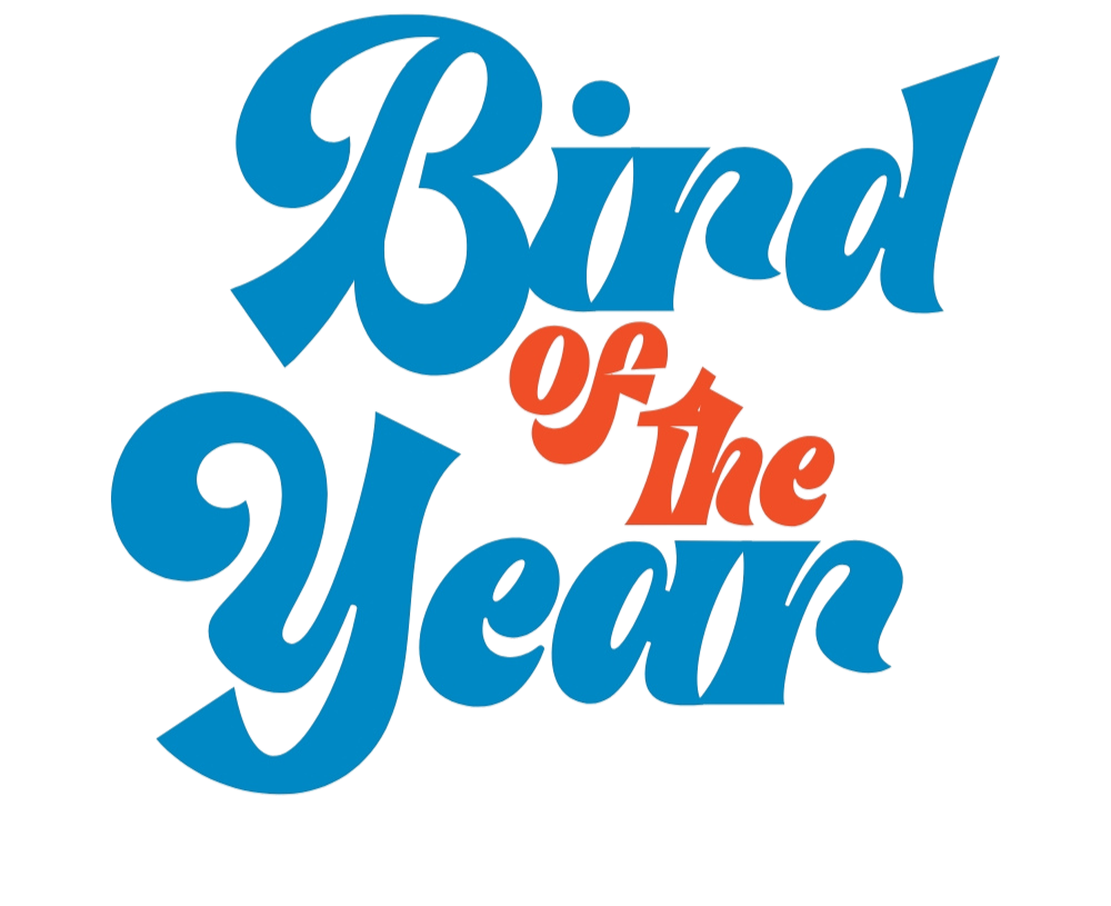 Bird of the year logo
