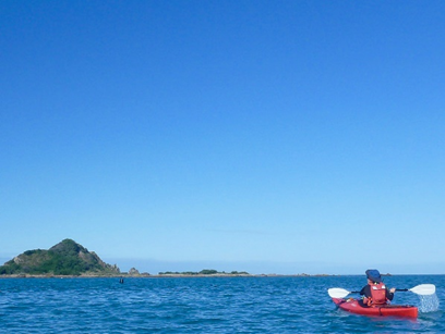 Places for Penguins volunteer kayaks to Taputeranga Island