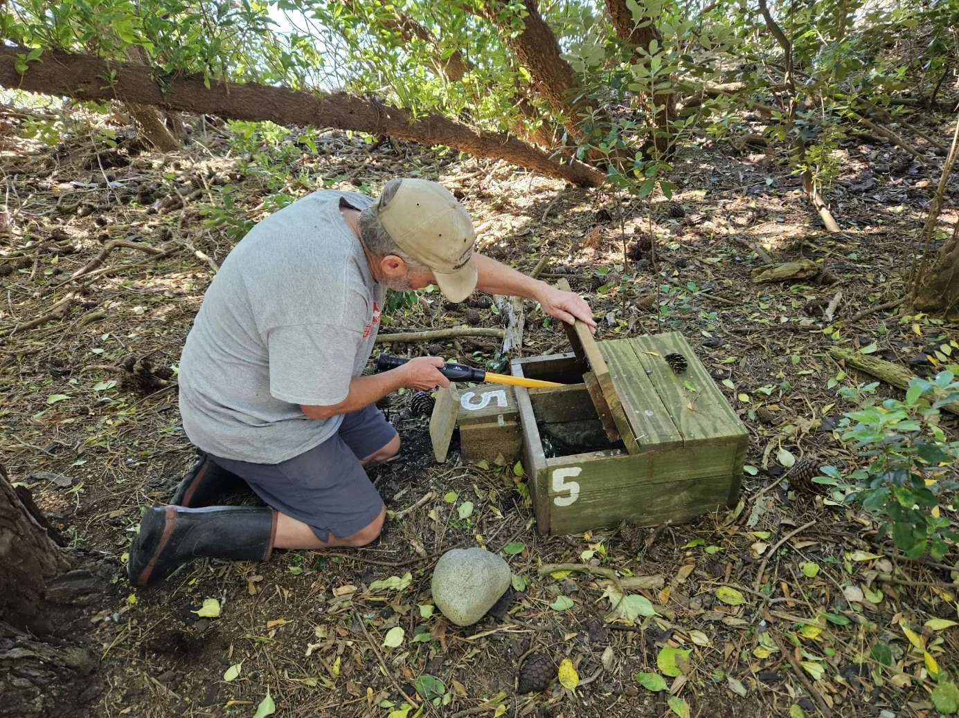 Friends of Haulashore Island volunteer scanning a nest box bird to read its PIT-Tag/Microchip ID