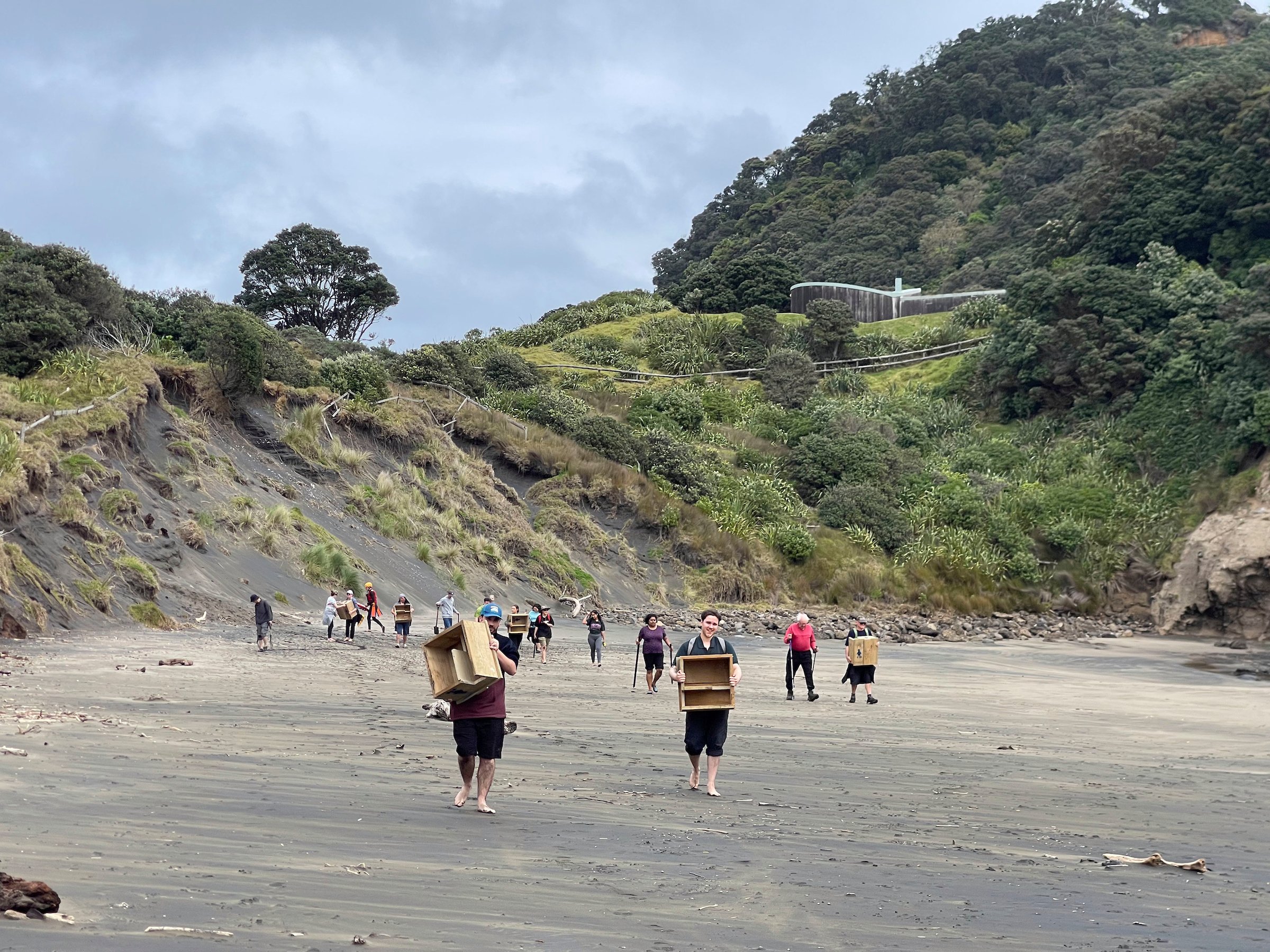 Kororā Te Henga volunteers deploying nest boxes. Image Credit: Simon Runting