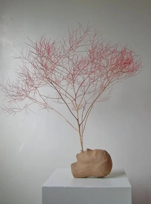 "The Prophet," 2009, paper, tumble weed, spraypaint, 21 x 21 x 21 inches, sold.