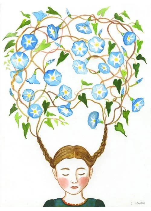 Morning Glory Dream sm.jpg