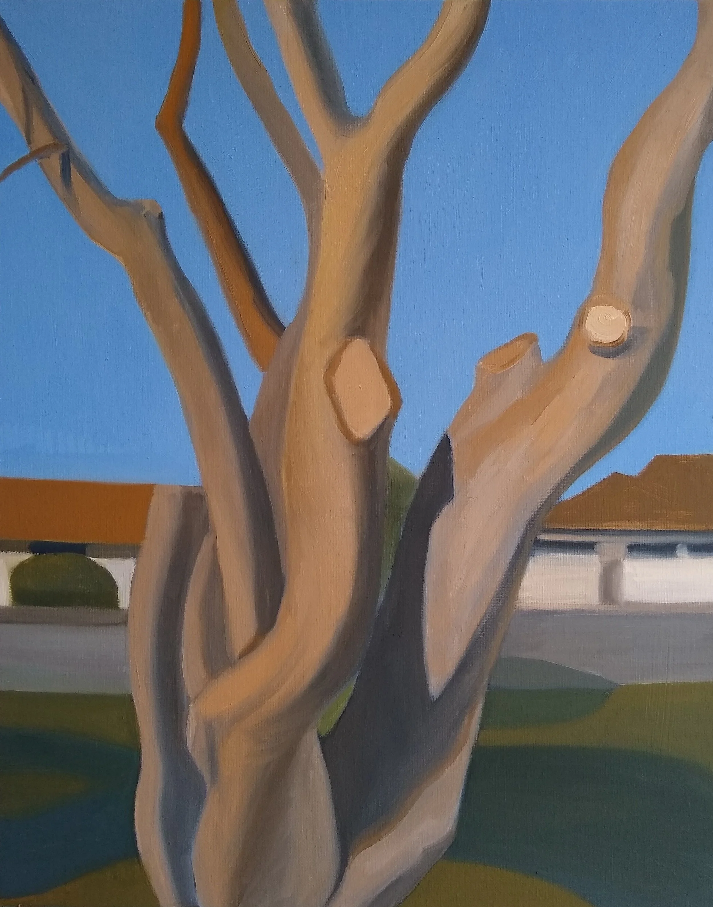 "Maple Tree," 2026, Mattix, oil on canvas, 16 x 20 inches, $700, Available