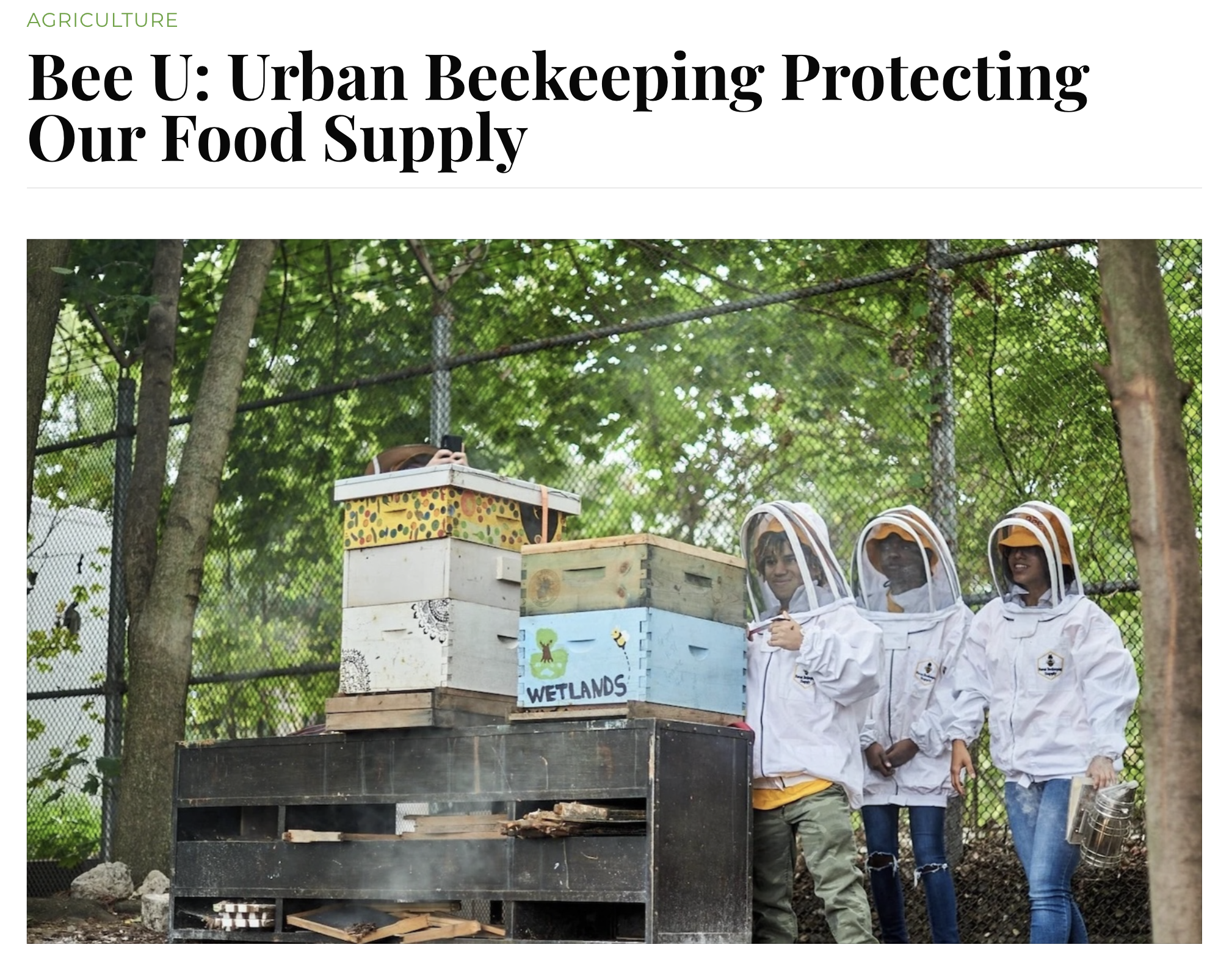 Bee U: Urban Beekeeping Protecting Our Food Supply