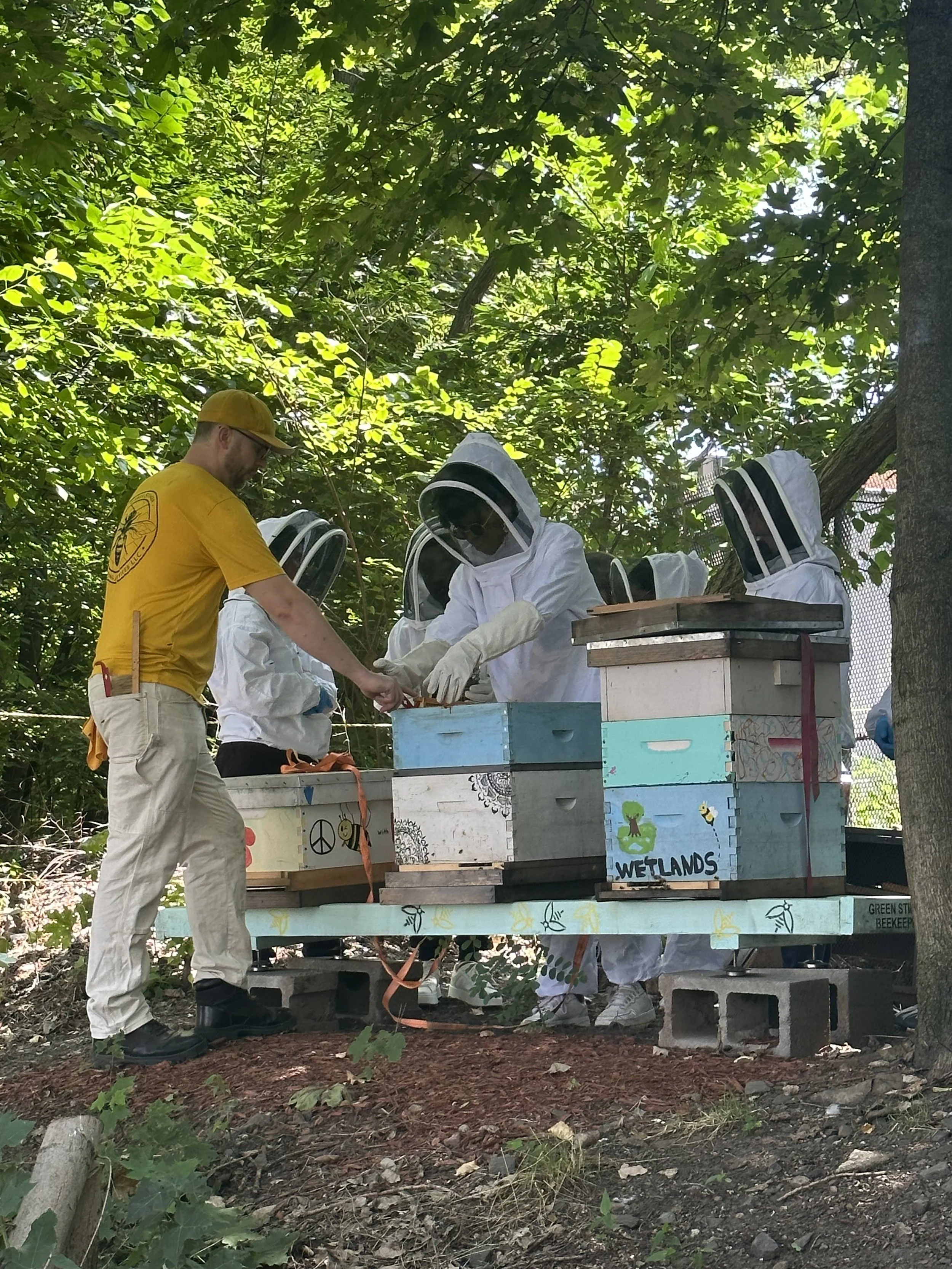 Hive Support — Bee U NYC