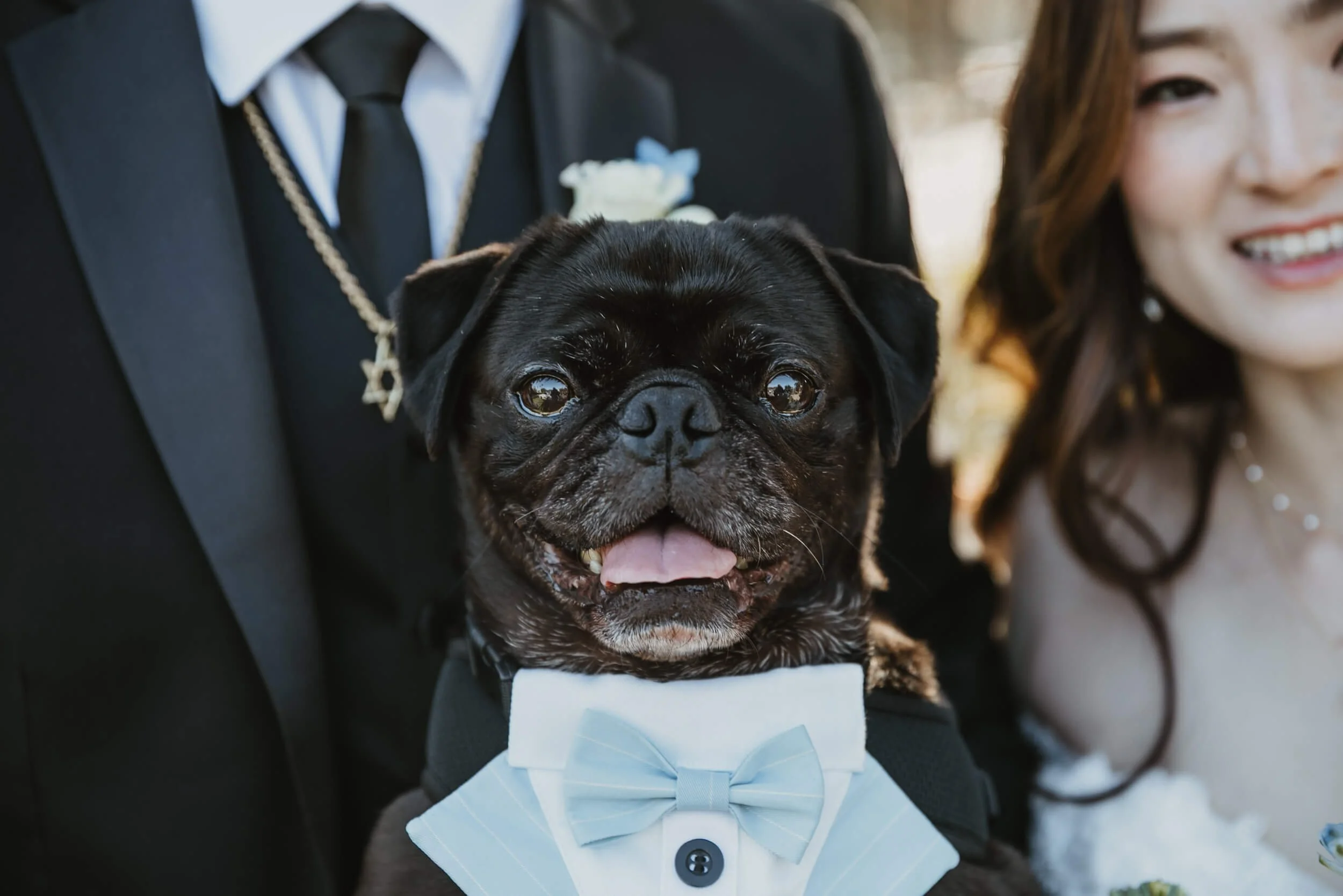 Aliso Viejo Community Center Wedding-0019.jpg