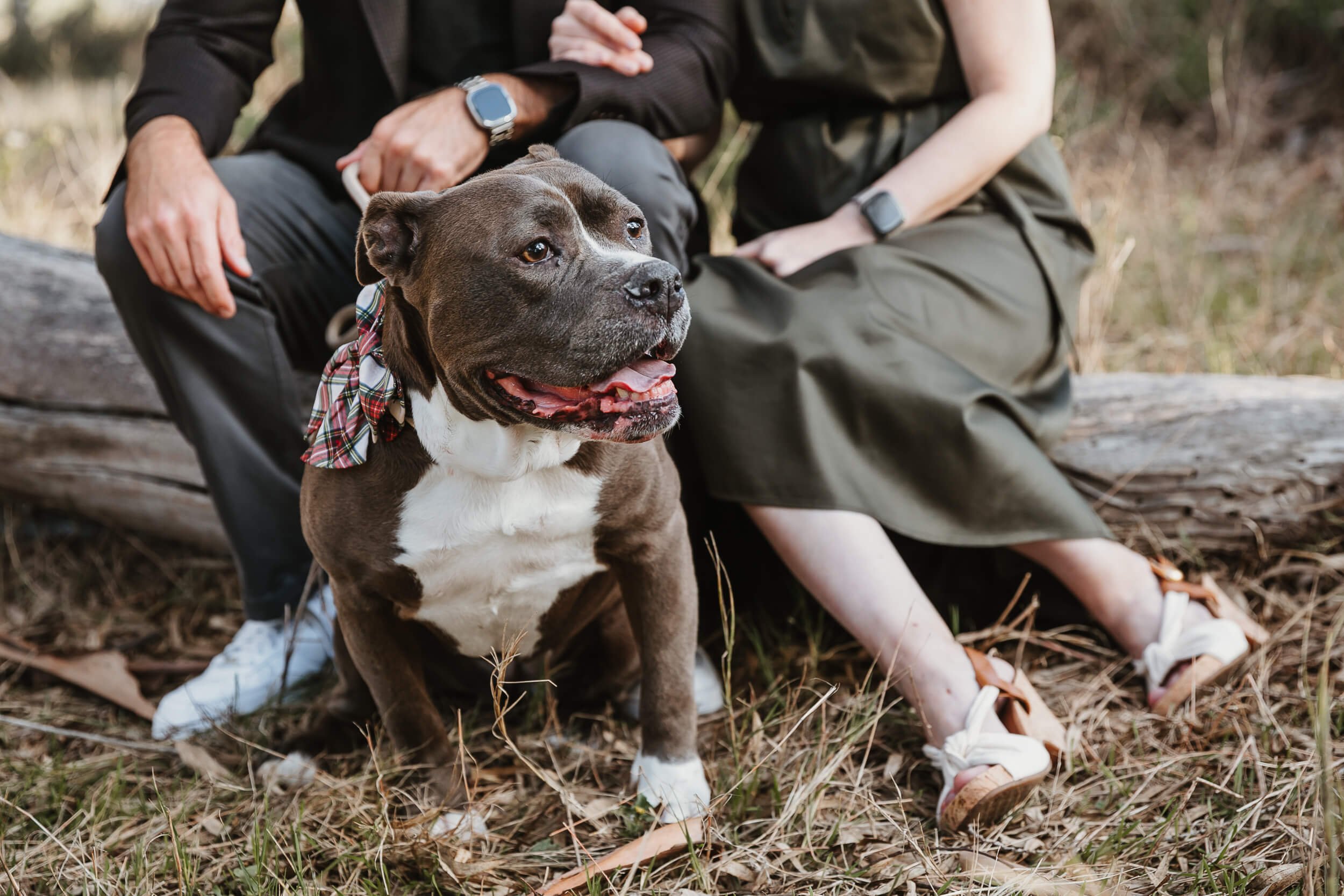 Batiquitos Lagoon Trail Mini Session-0011.jpg