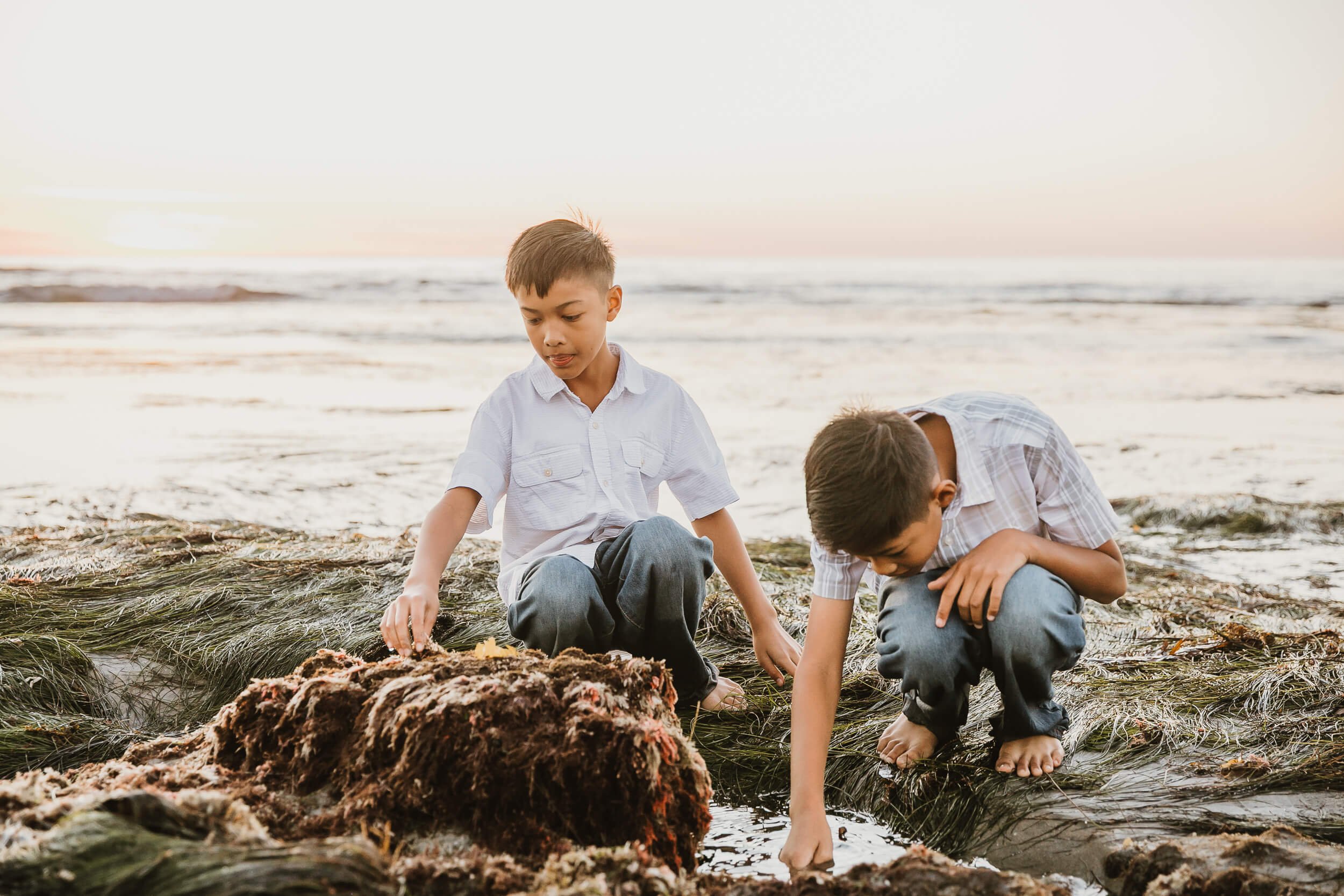 Solana Beach Mini Sessions-0231.jpg