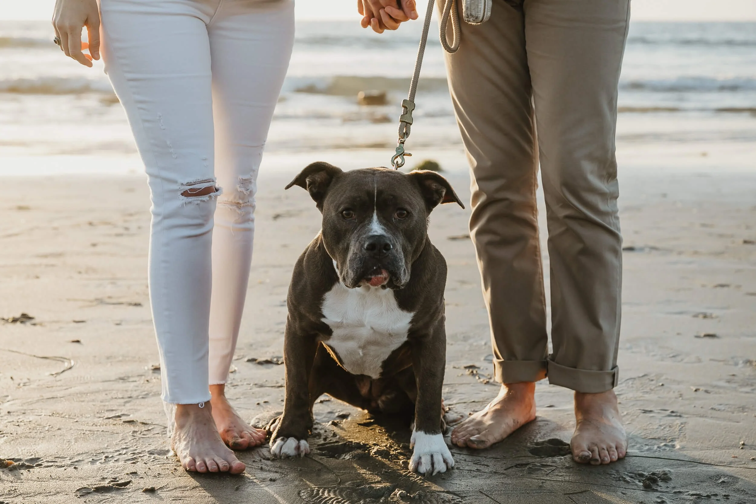 Solana Beach Mini Sessions-0013.jpg