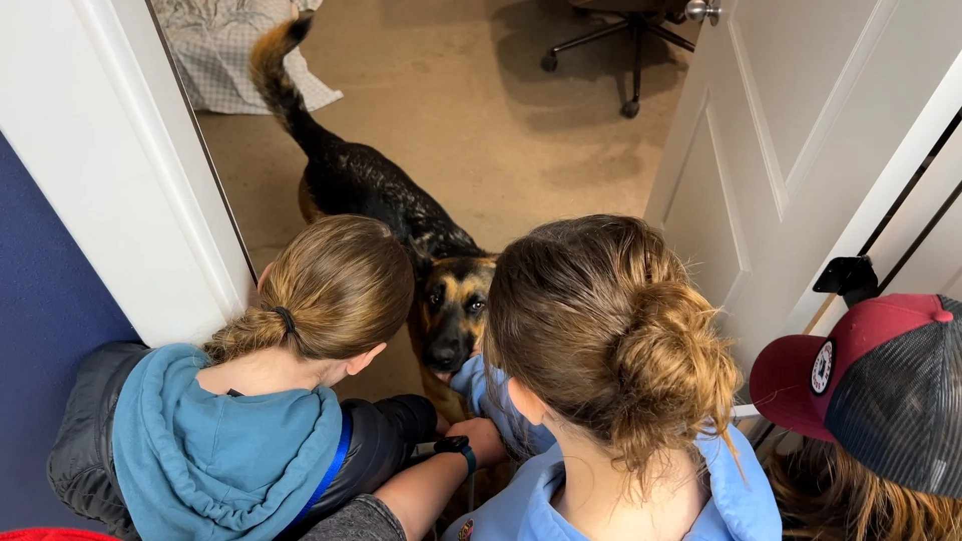 petting sweet GSD.jpg
