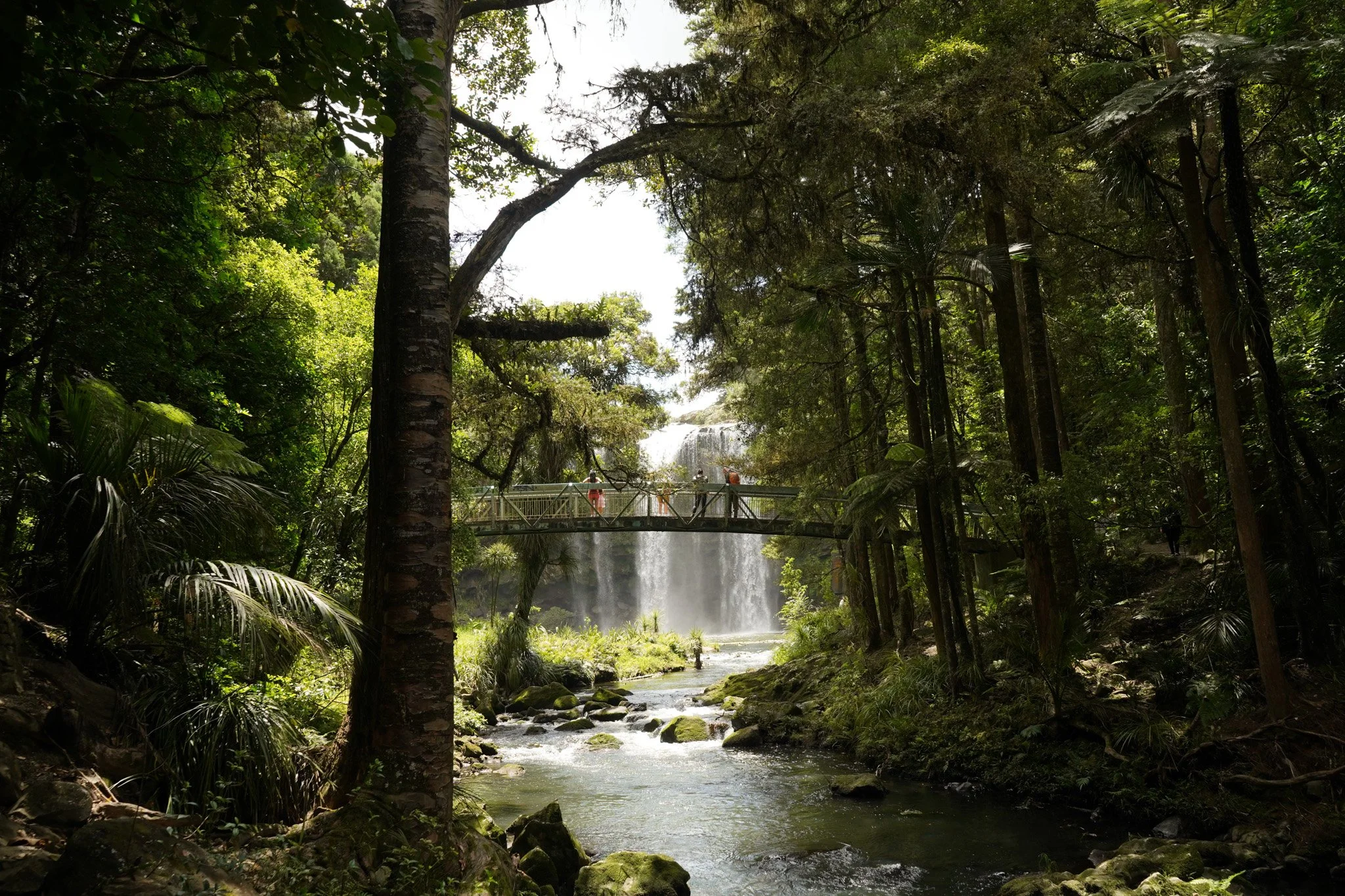 Landscape Photo Sony .jpg