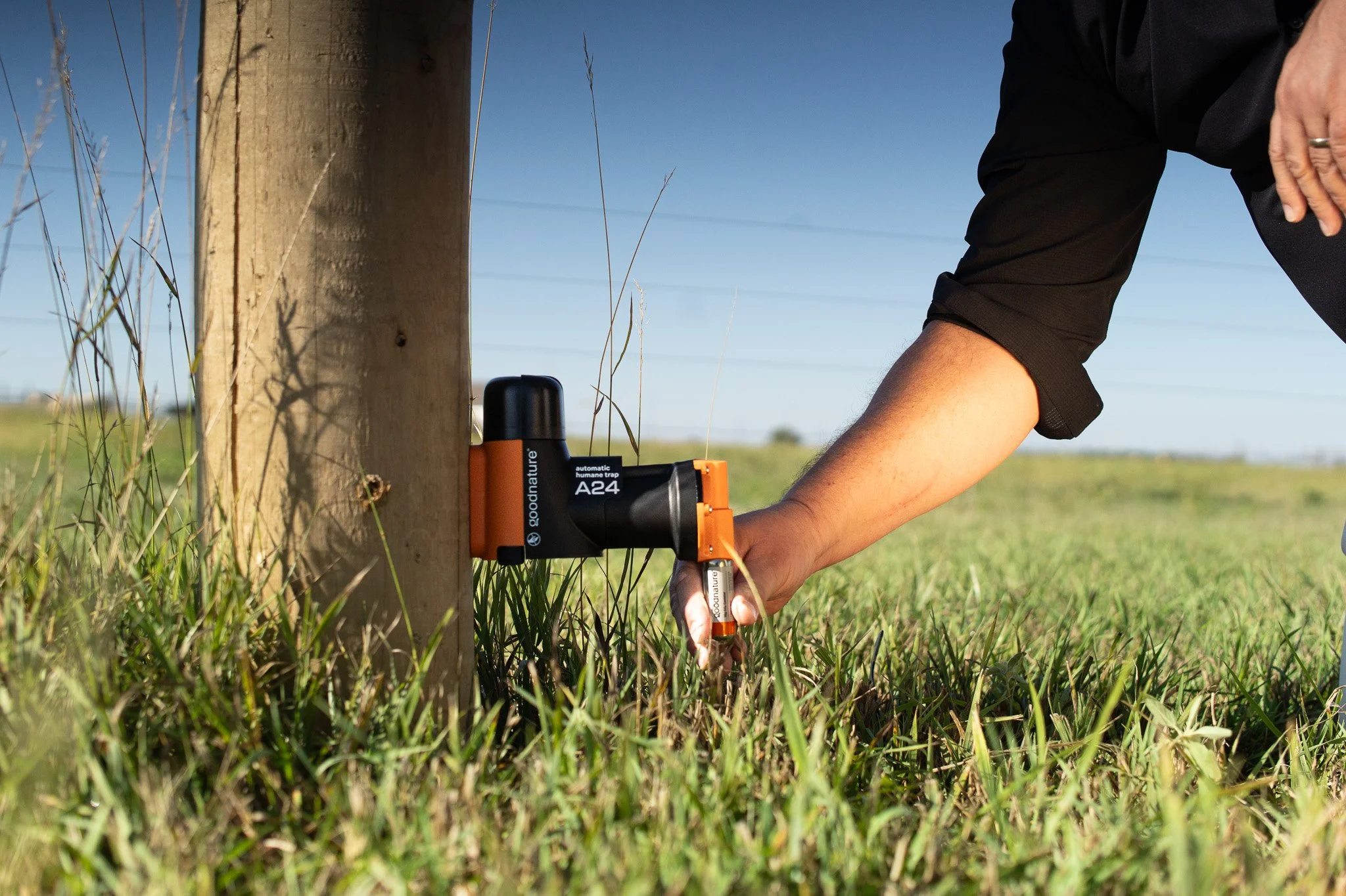 Selects edits-41.jpg