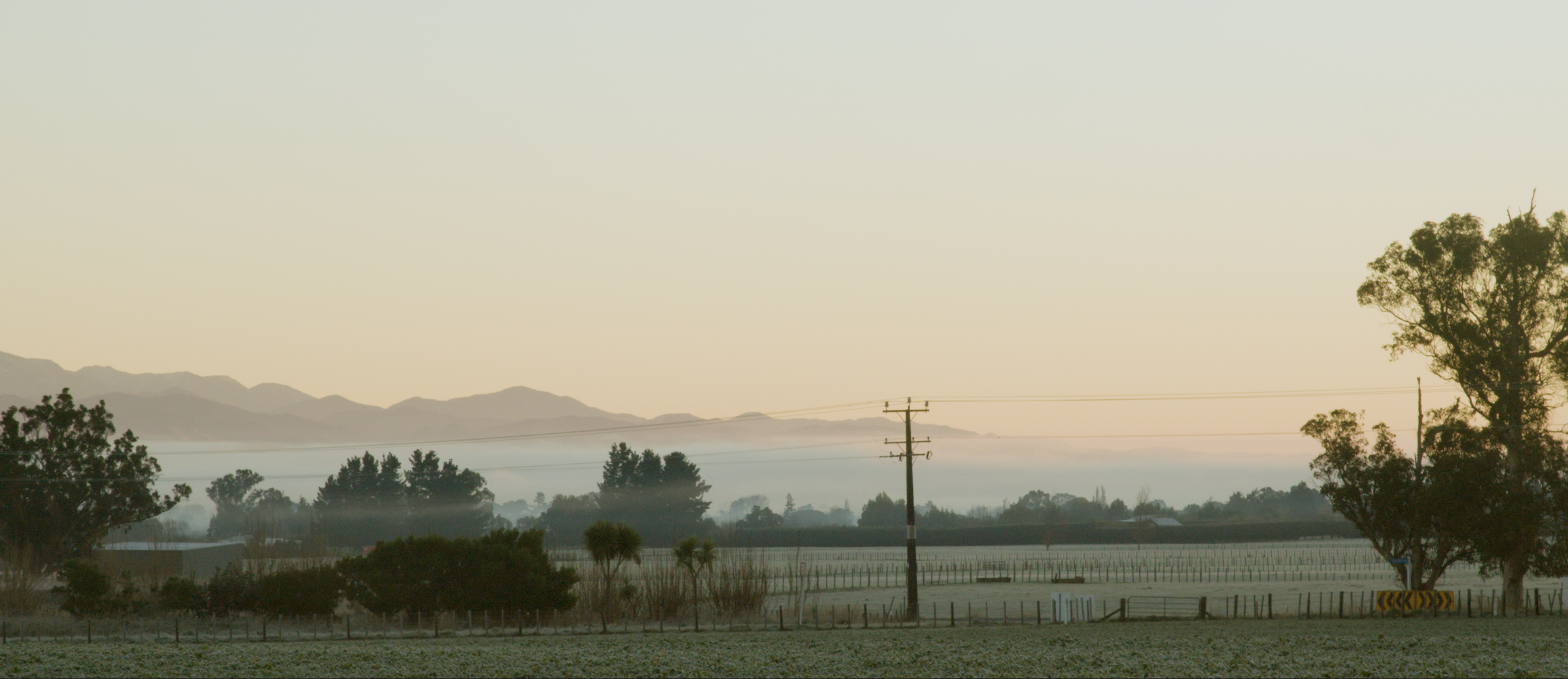 Screenshot 2021-07-18 144231.png