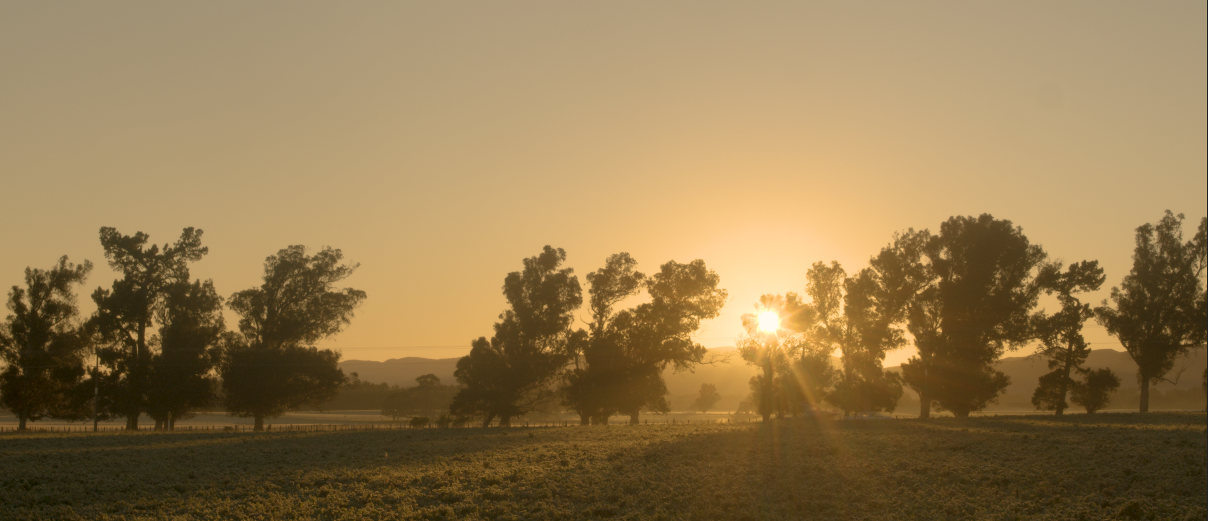 Screenshot 2021-07-18 142704.png