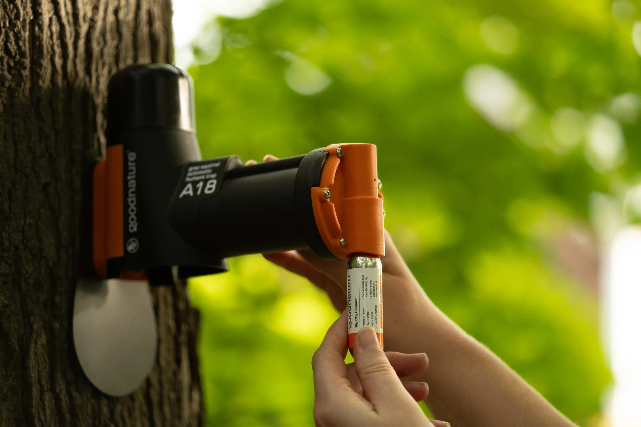 Selects edits-30.jpg