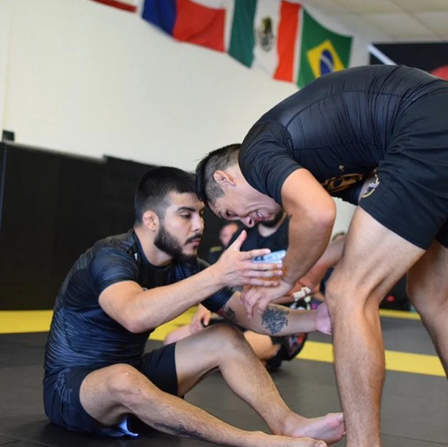 Screenshot 2025-05-06 at 4.16.15 PM.jpeg