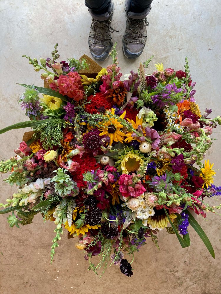 Fresh Bulk Flowers From Our Farm in Boulder — Artemis Flower Farm