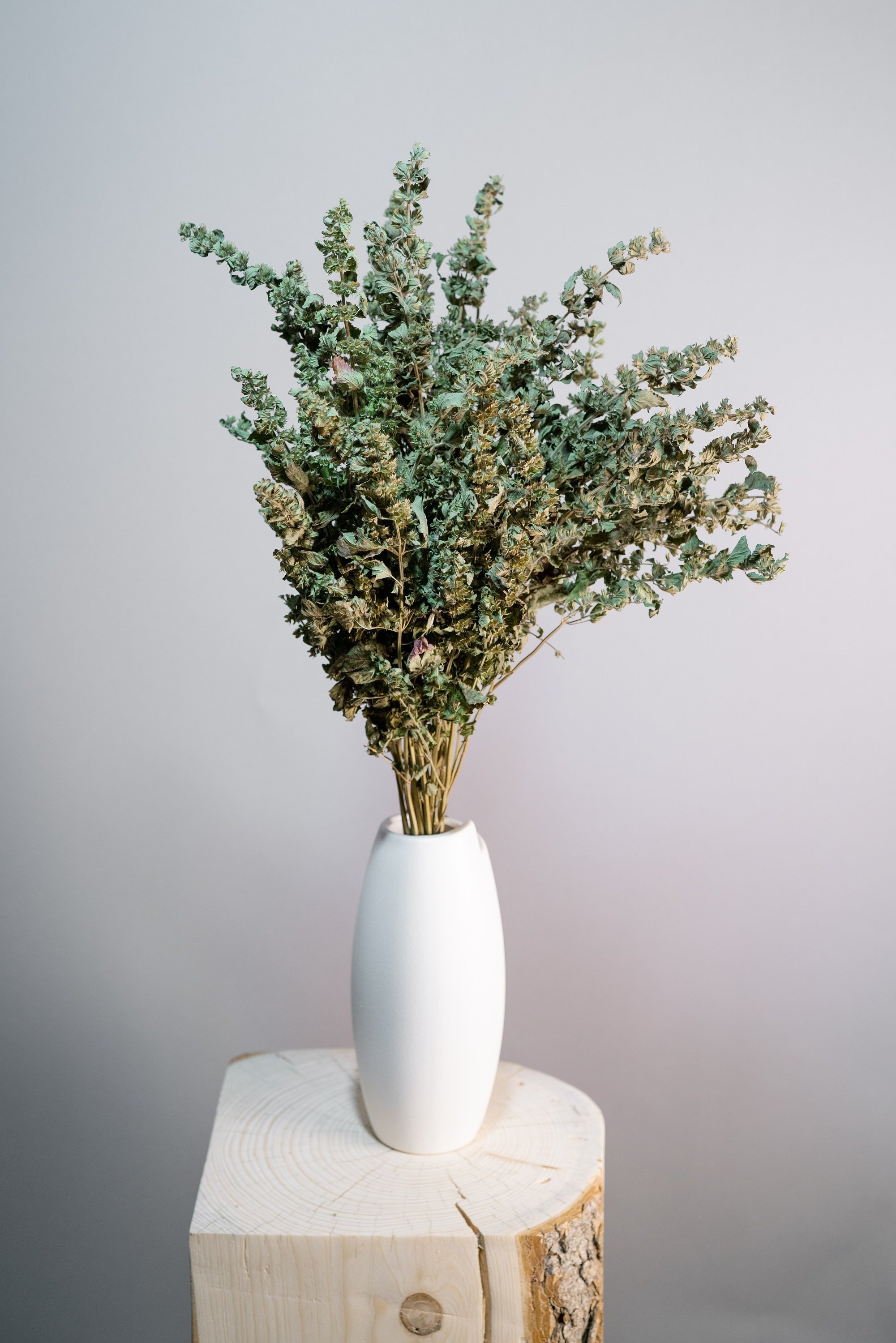 https://i.etsystatic.com/48115015/r/il/20b90a/5582776518/il_fullxfull.5582776518_hmqj.jpg