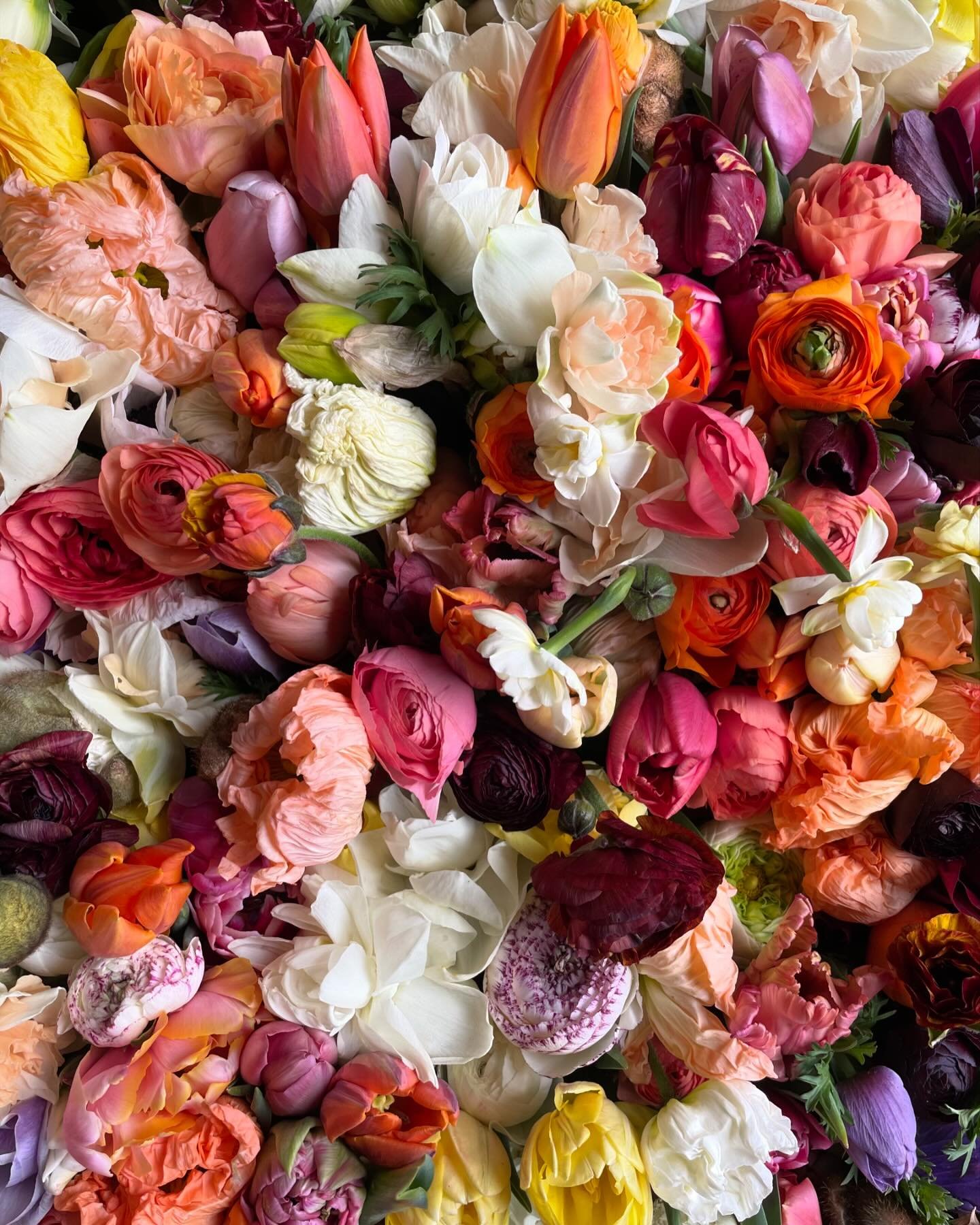 Lush, tender, sweet and vibrant &mdash; Folks, there&rsquo;s nothing like spring flowers, and we can&rsquo;t wait to share them with you guys his weekend at the farm stand and at @cityparkfarmersmarket 💐