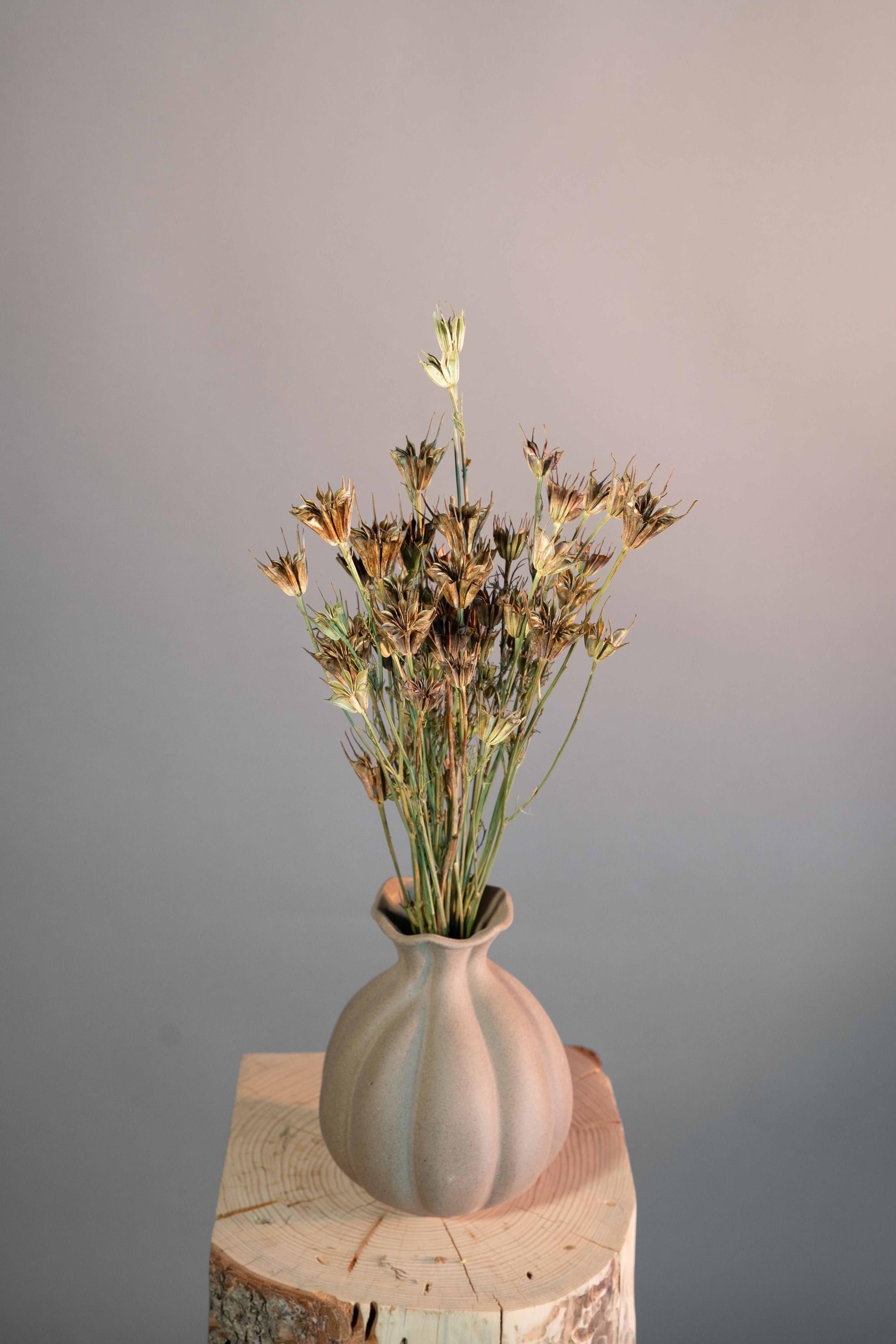 https://i.etsystatic.com/48115015/r/il/11d5c4/6696442465/il_fullxfull.6696442465_kdpf.jpg
