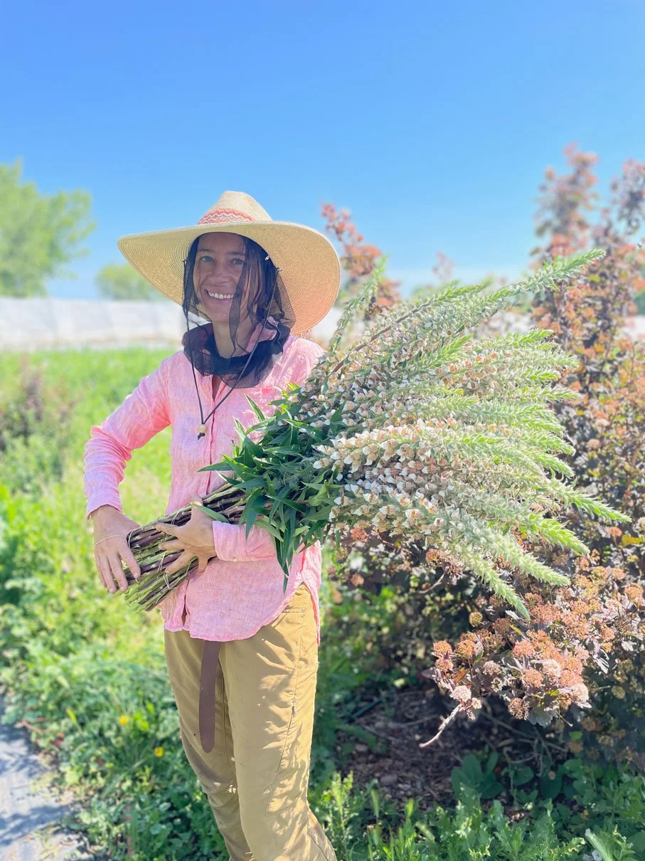 artemis-flower-farm-peach-foxglove.jpg