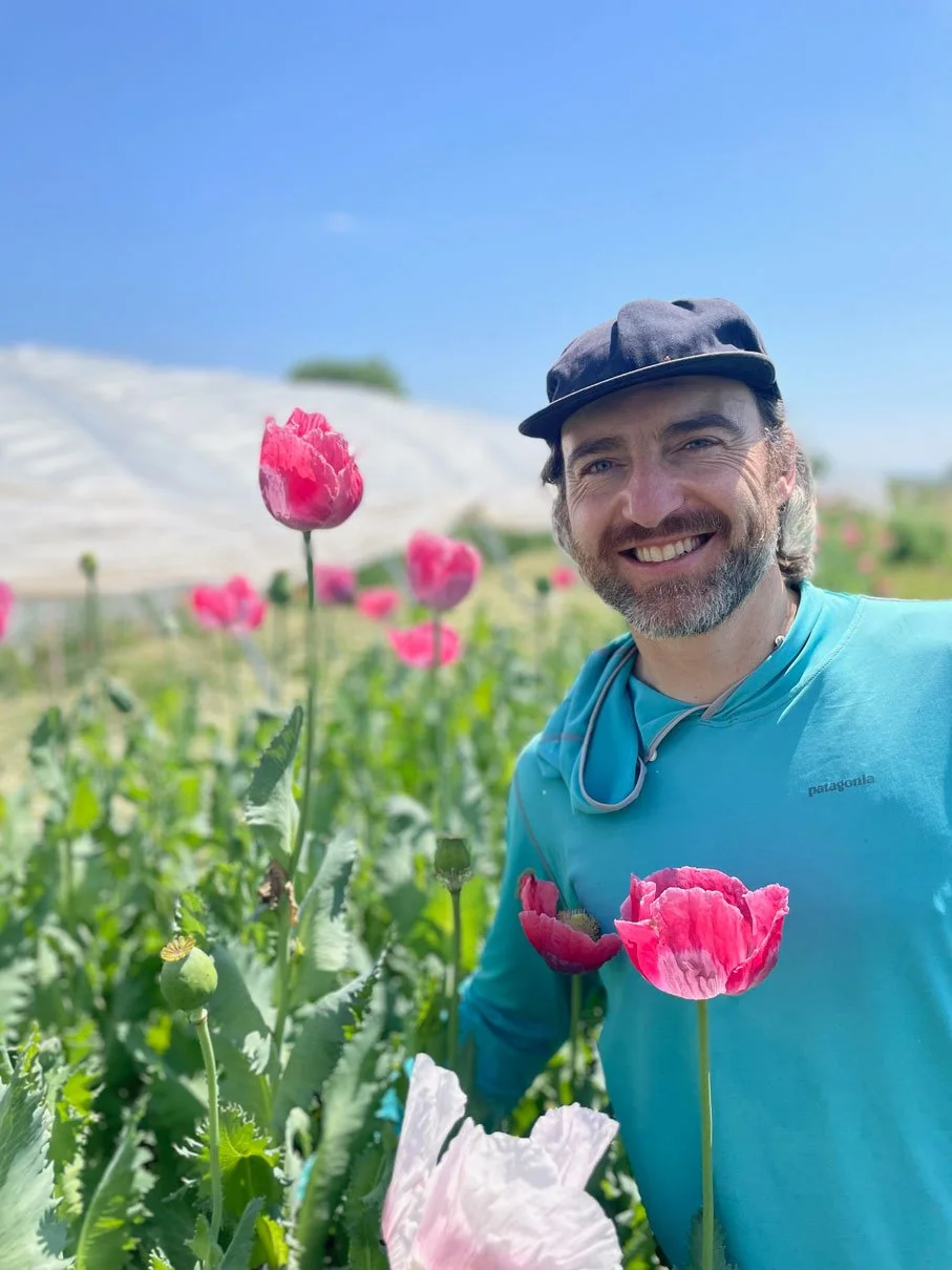 artemis-flower-farm-nelson-poppies.jpg