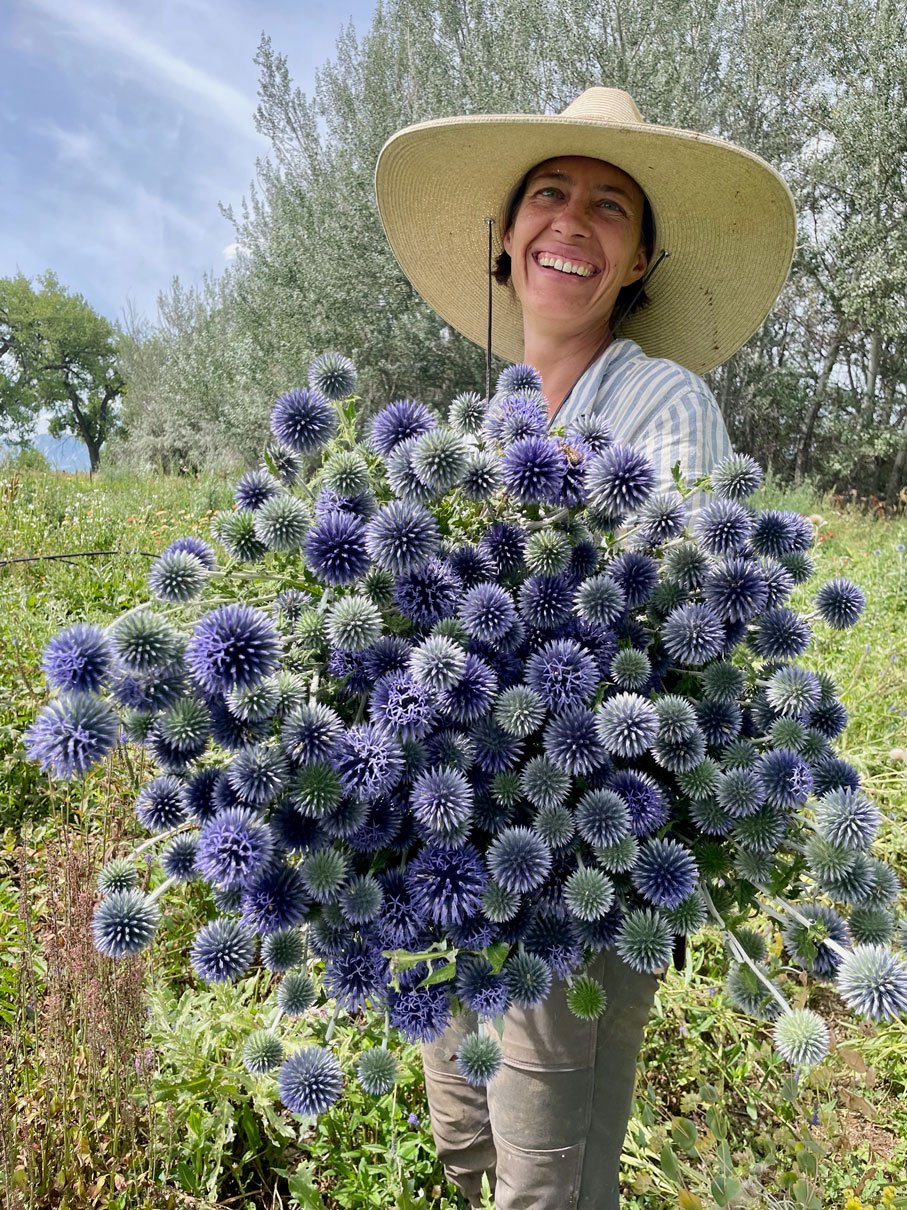 artemis-flower-farm-helen-echinops.jpg