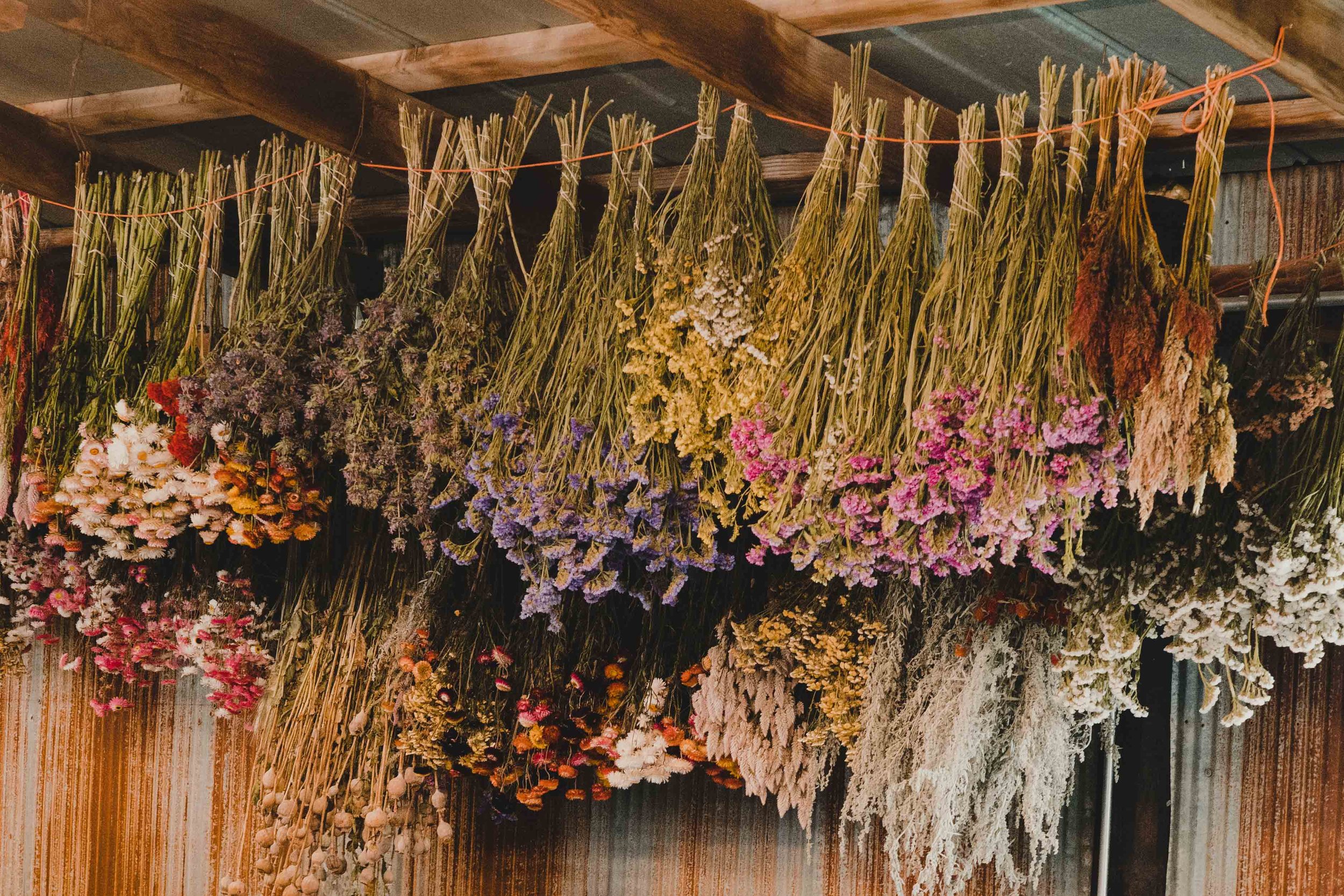 Make Your Own Dried Flower Wreath!, 244 Albany Ave, Louisville