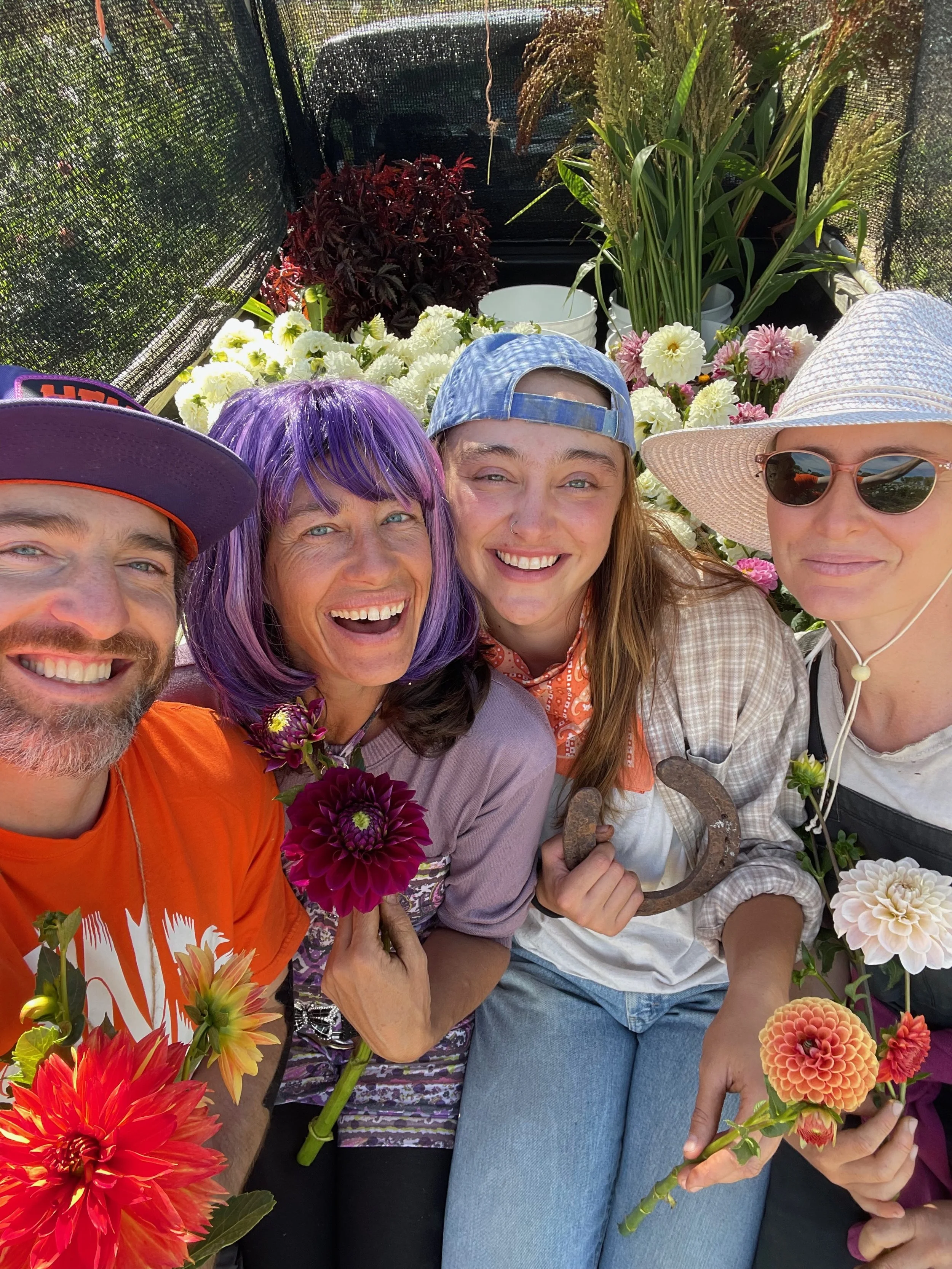 Punkin Spice, Diva, Valley Rust Bucket, and Sweet Nathalie