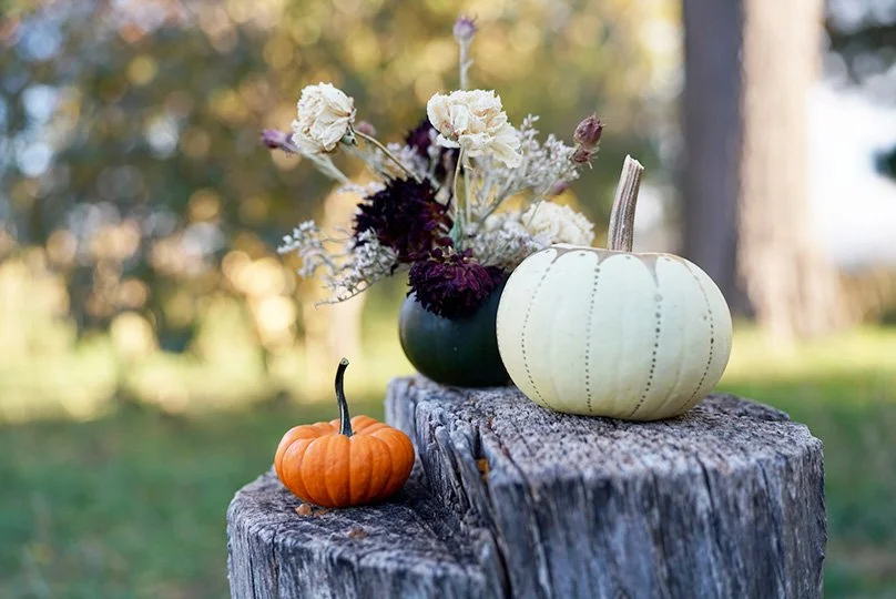 Creative Pumpkin Crafting | Oct 25 | FREE for under 12