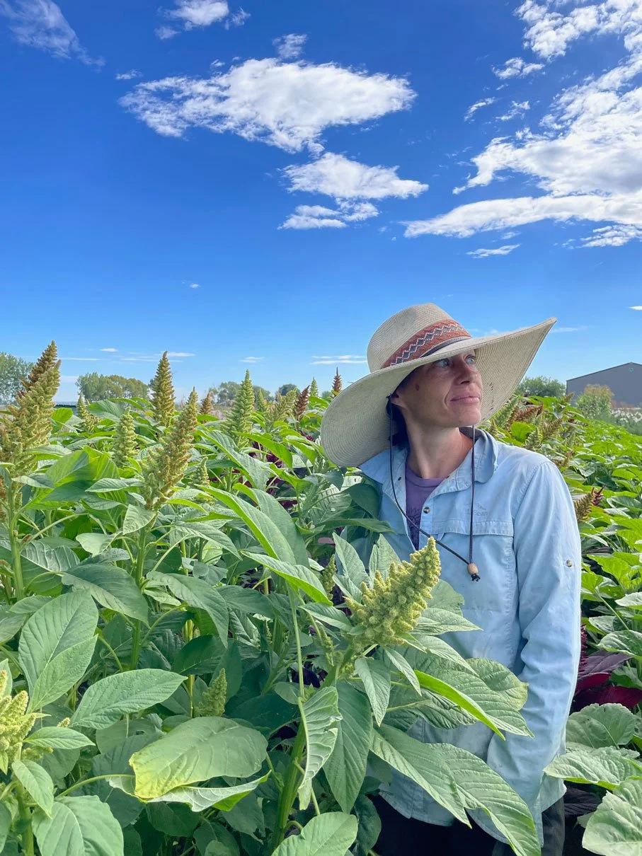 artemis-flower-farm-amaranth.jpg