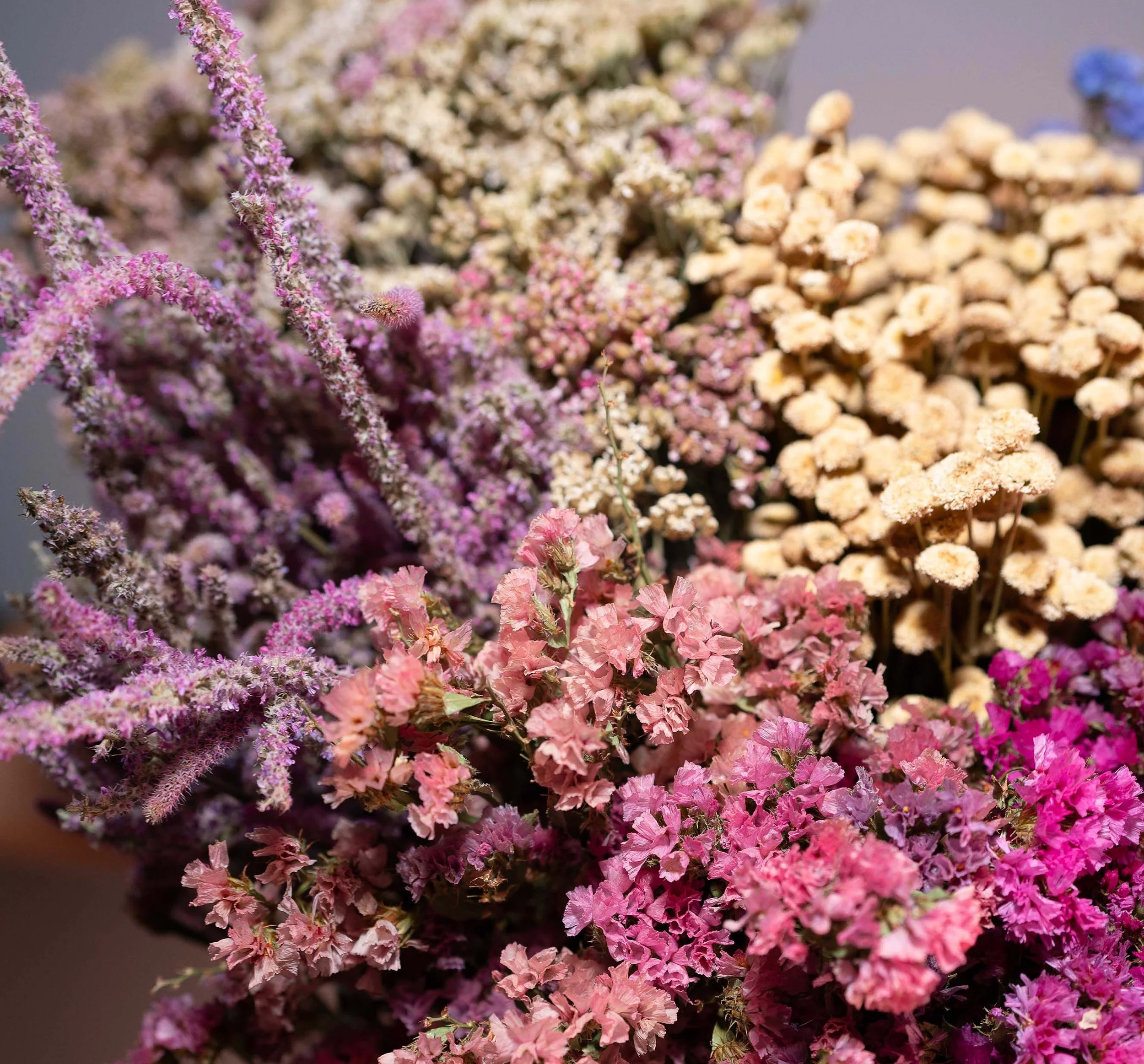 local dried flowers boulder, Colorado. Hand-cut, bunched, hung to dry in our studio.