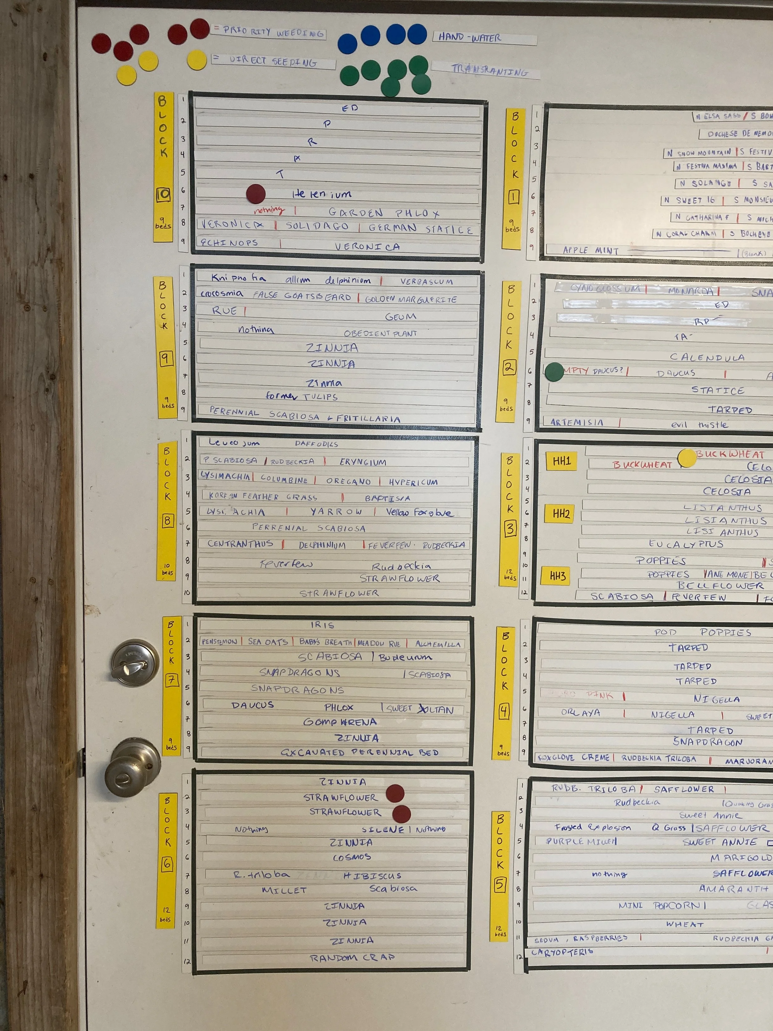 A magnetic and dry erase field plan