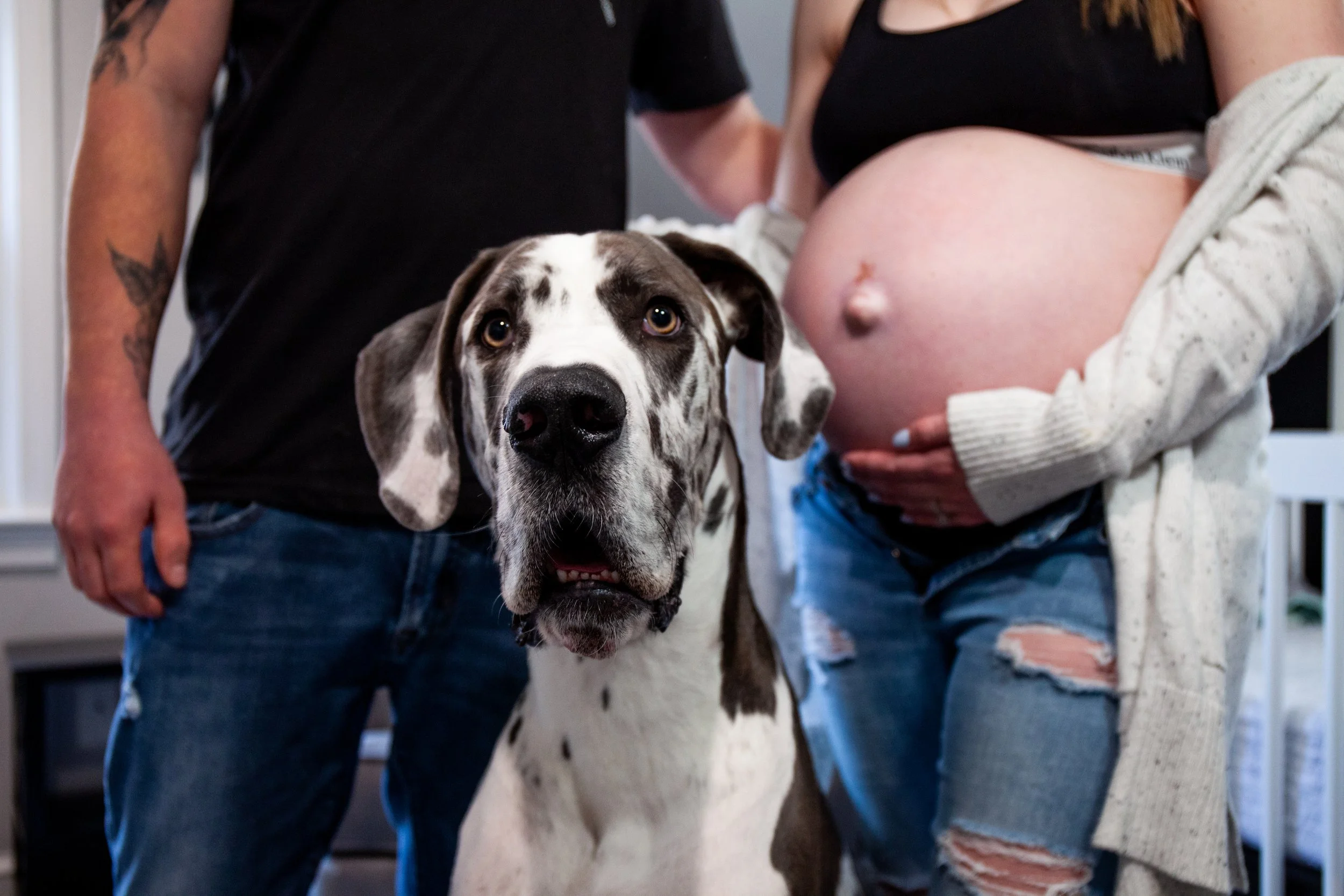 Maternity Morrison (280 of 312).jpg